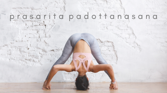 RICHARD ROSEN'S ASANA BREAKDOWN