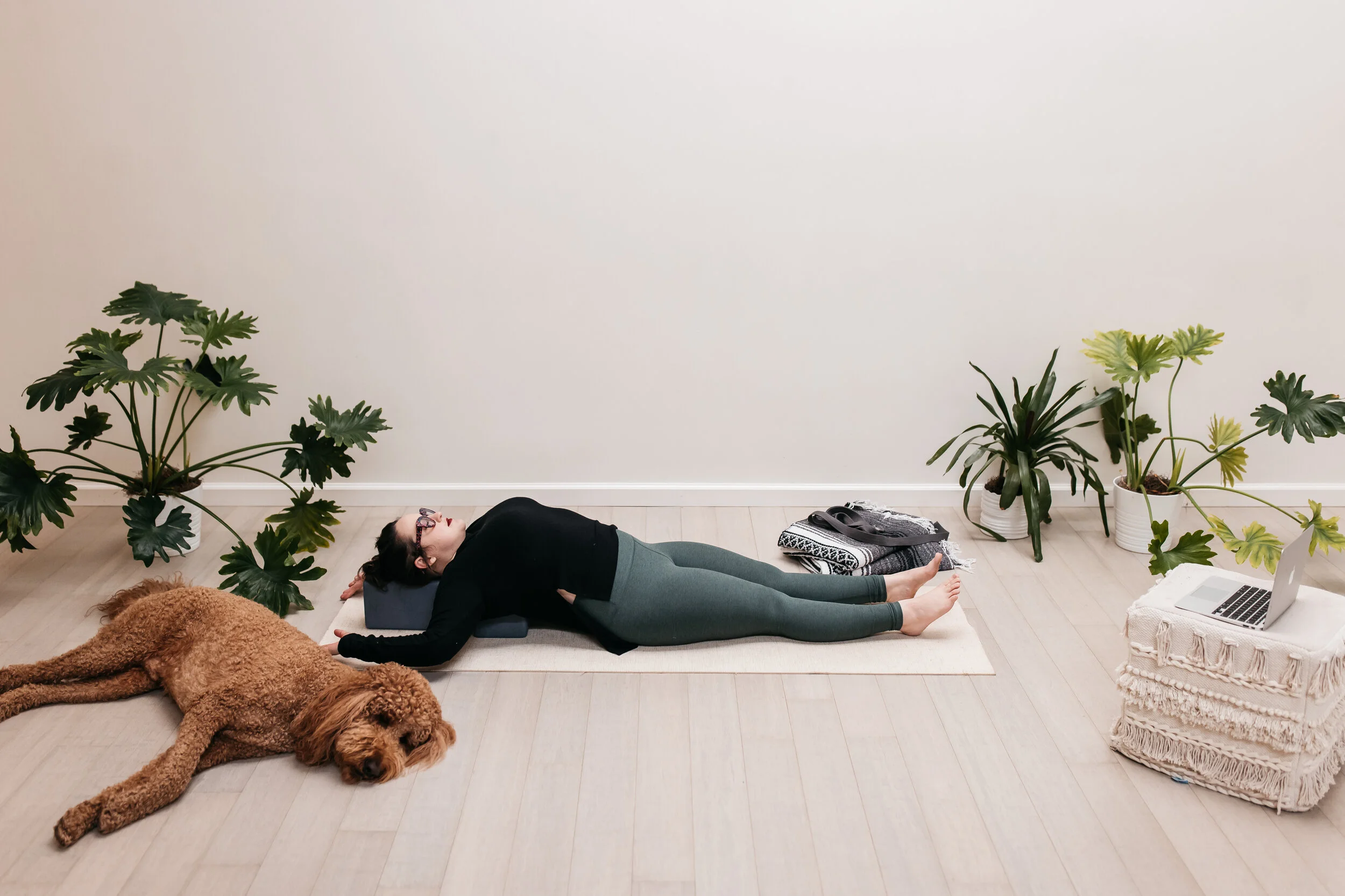 Nest Yoga Studio I Oakland