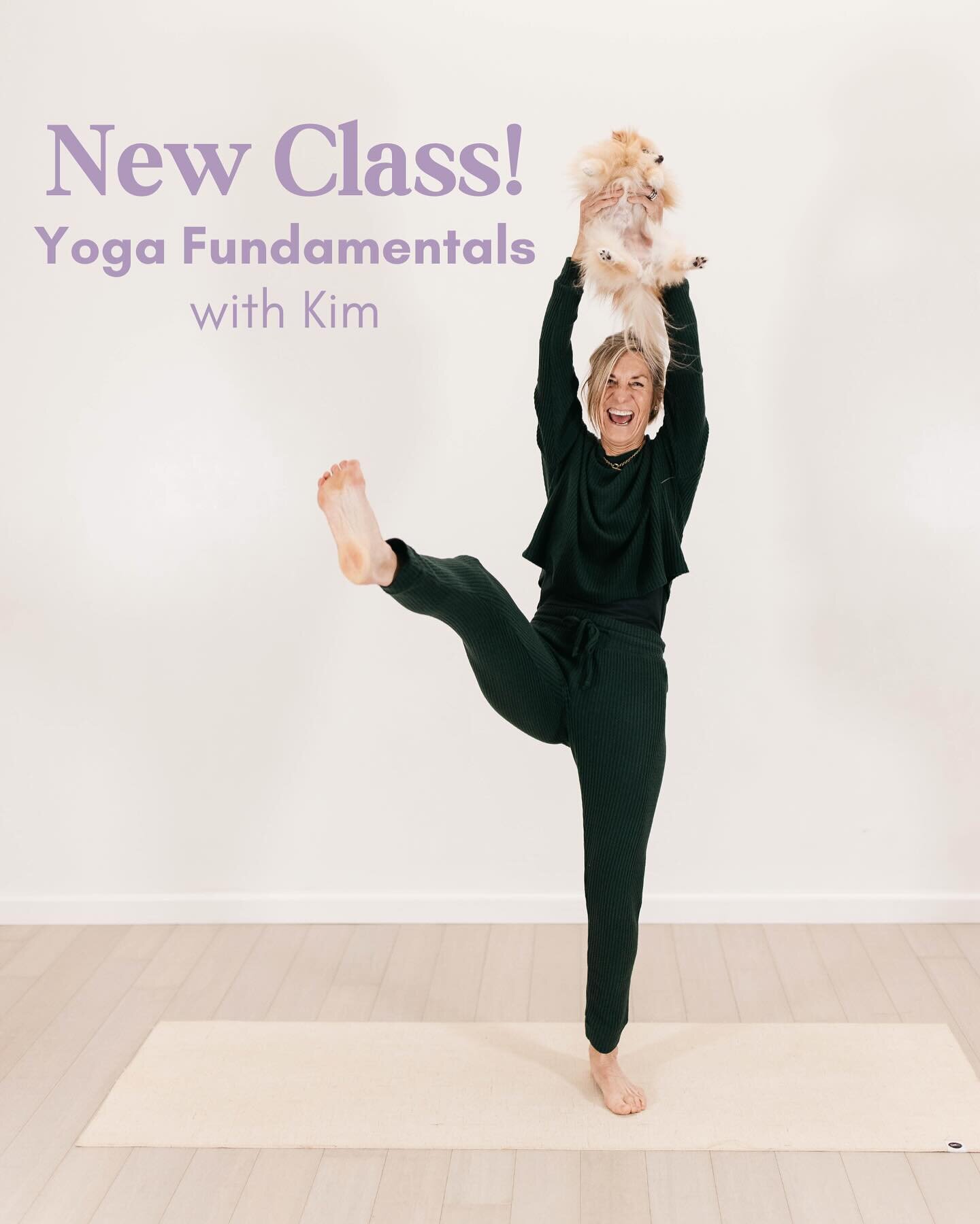 Join @ktlally for her new class Yoga Fundamentals on Tuesdays at 12:00-12:45pm! 

No more excuses! Whether you're ready to embrace a healthier lifestyle or seeking a refreshing tune-up for your existing yoga practice, this 45 minute lunchtime session