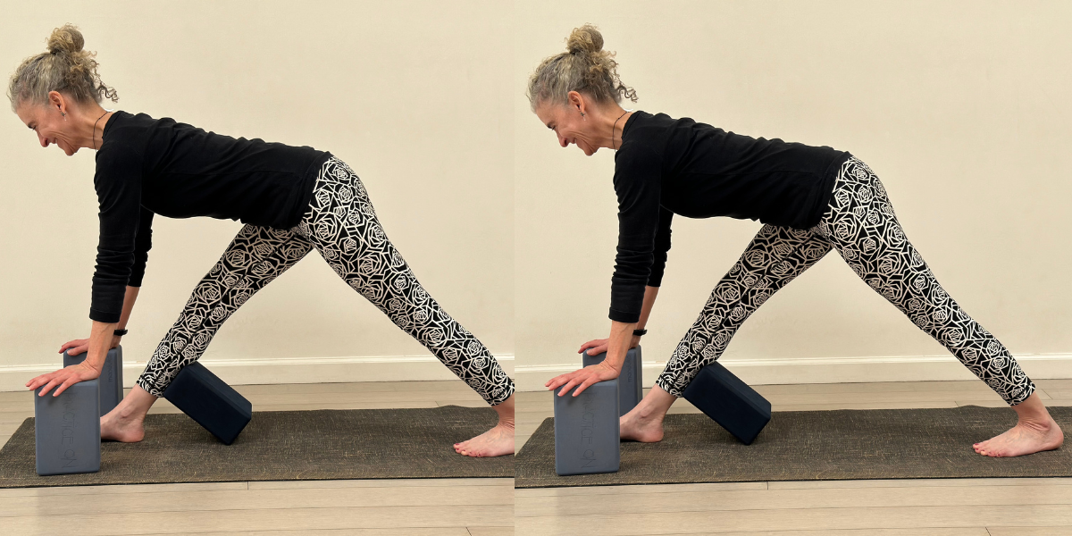Richard Rosen's Asana Breakdown: PARŚVOTTANĀSANA