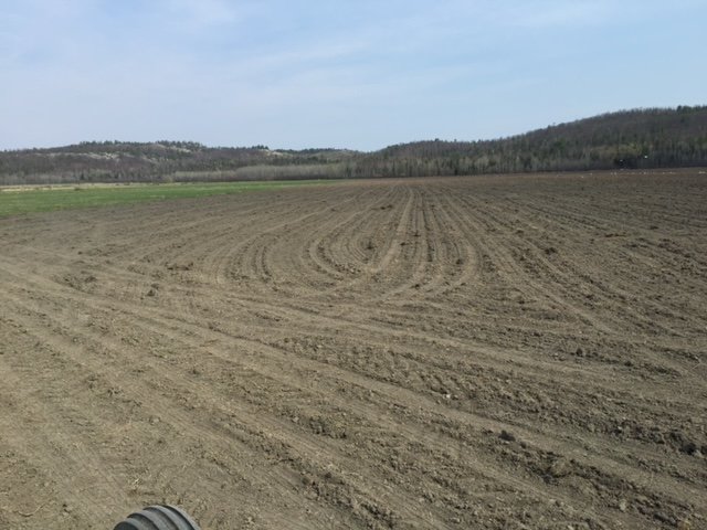 My Fallow Field Journey