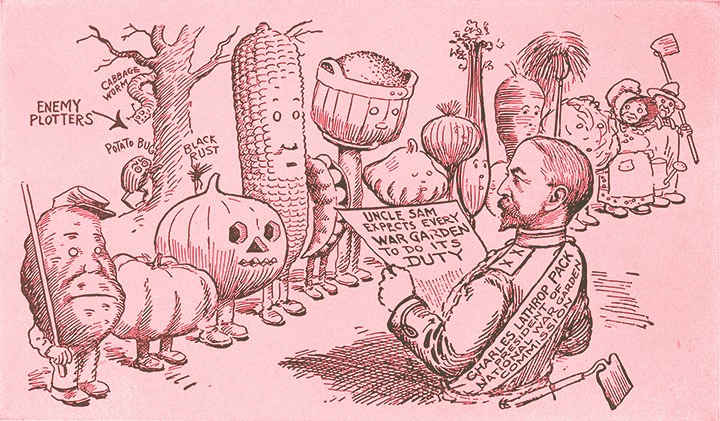 First World War Garden Cartoon from the National War