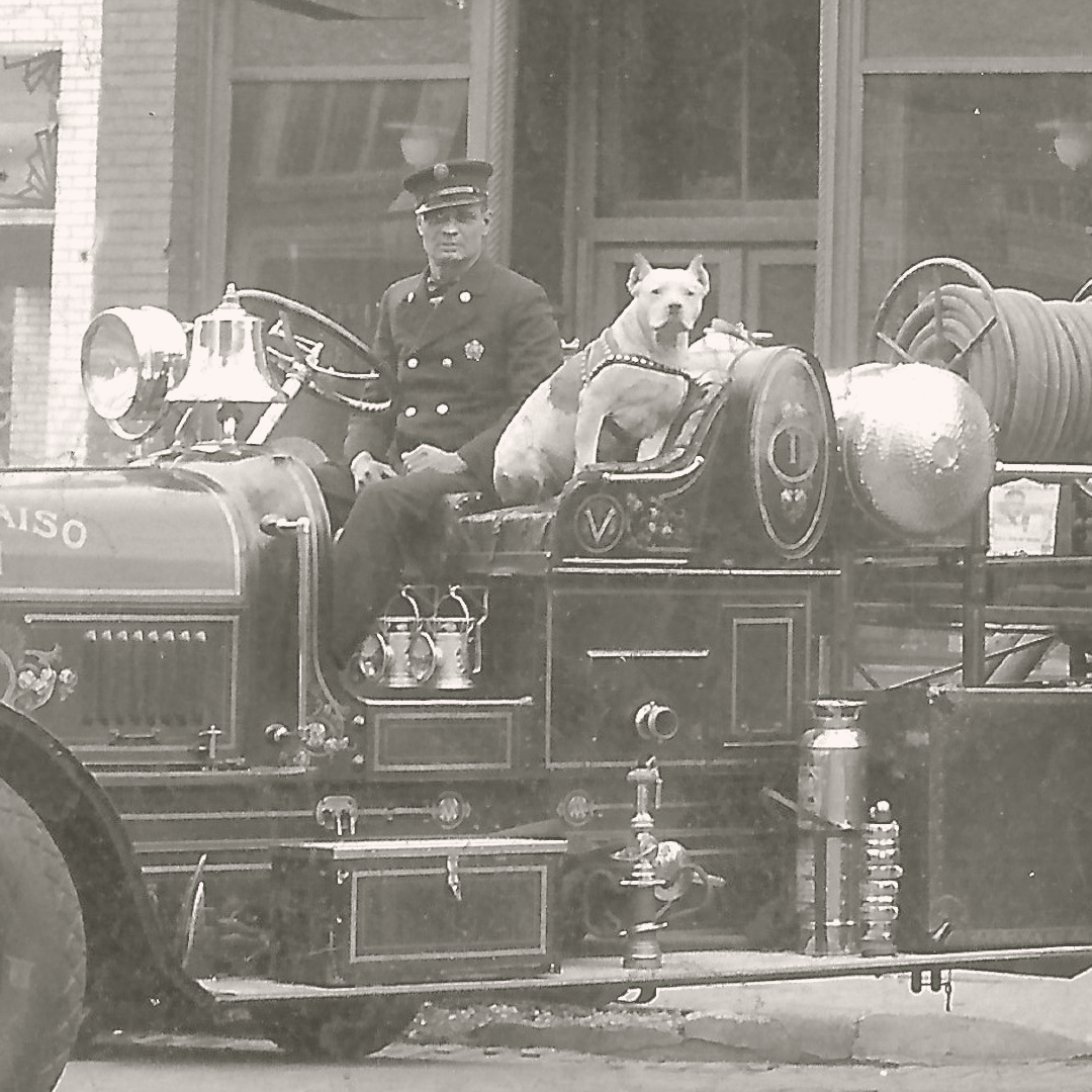 Joe’s Bark Is More Deadly Than Bite, But Faithful Fireman’s Mascot Can Run
