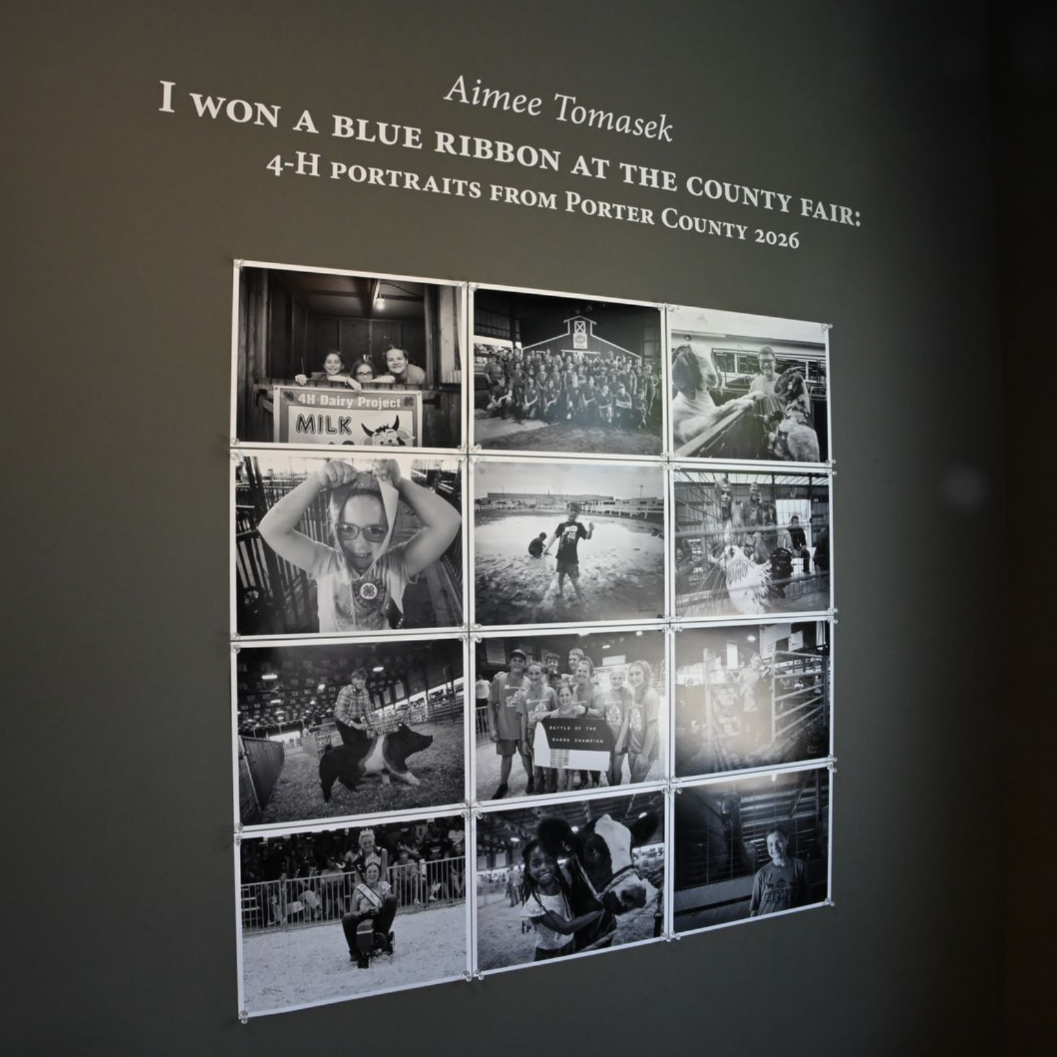 I Won a Blue Ribbon at the County Fair: An Artist Talk with Aimee Tomasek