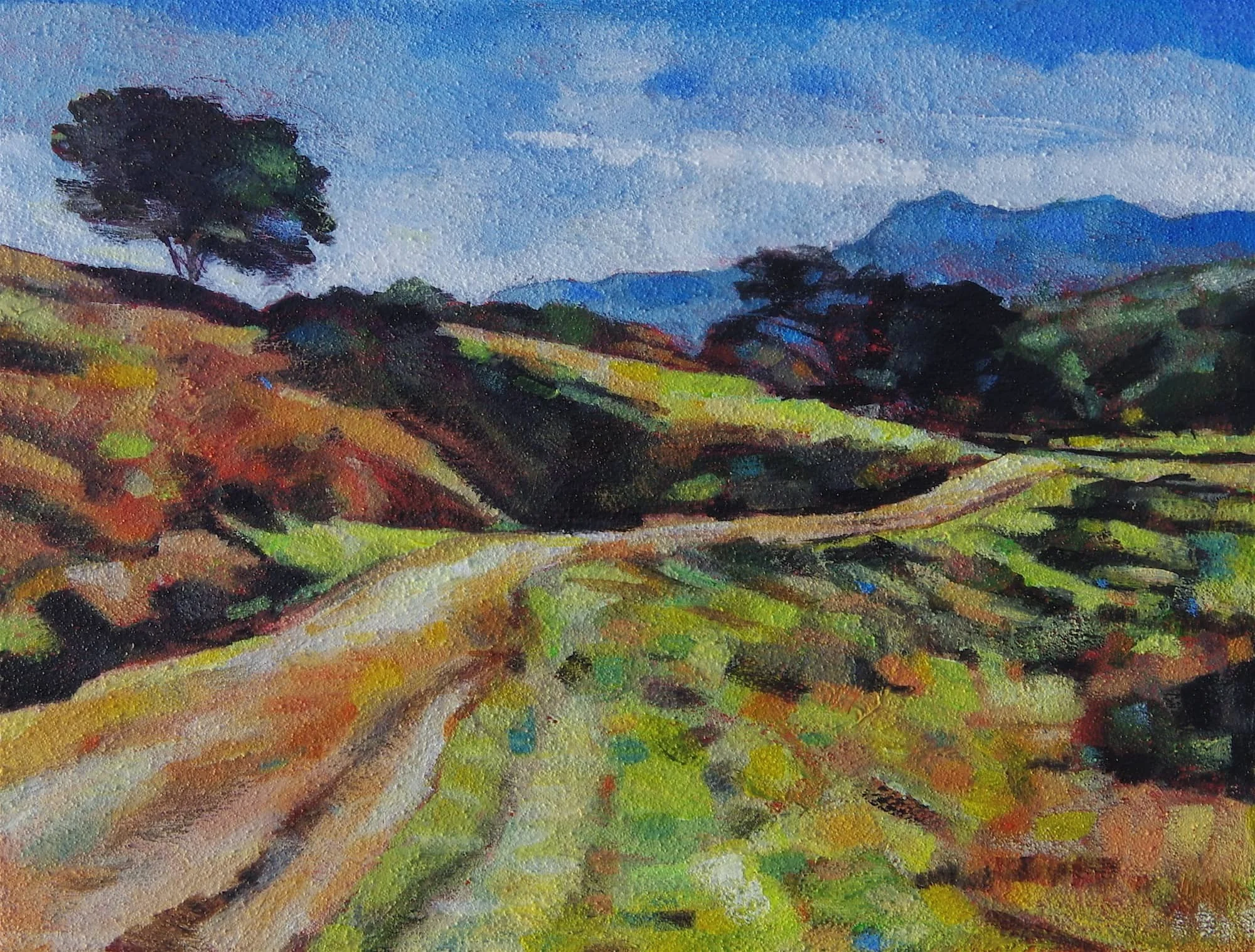 Mt Tam View Sleepy Hollow Trail