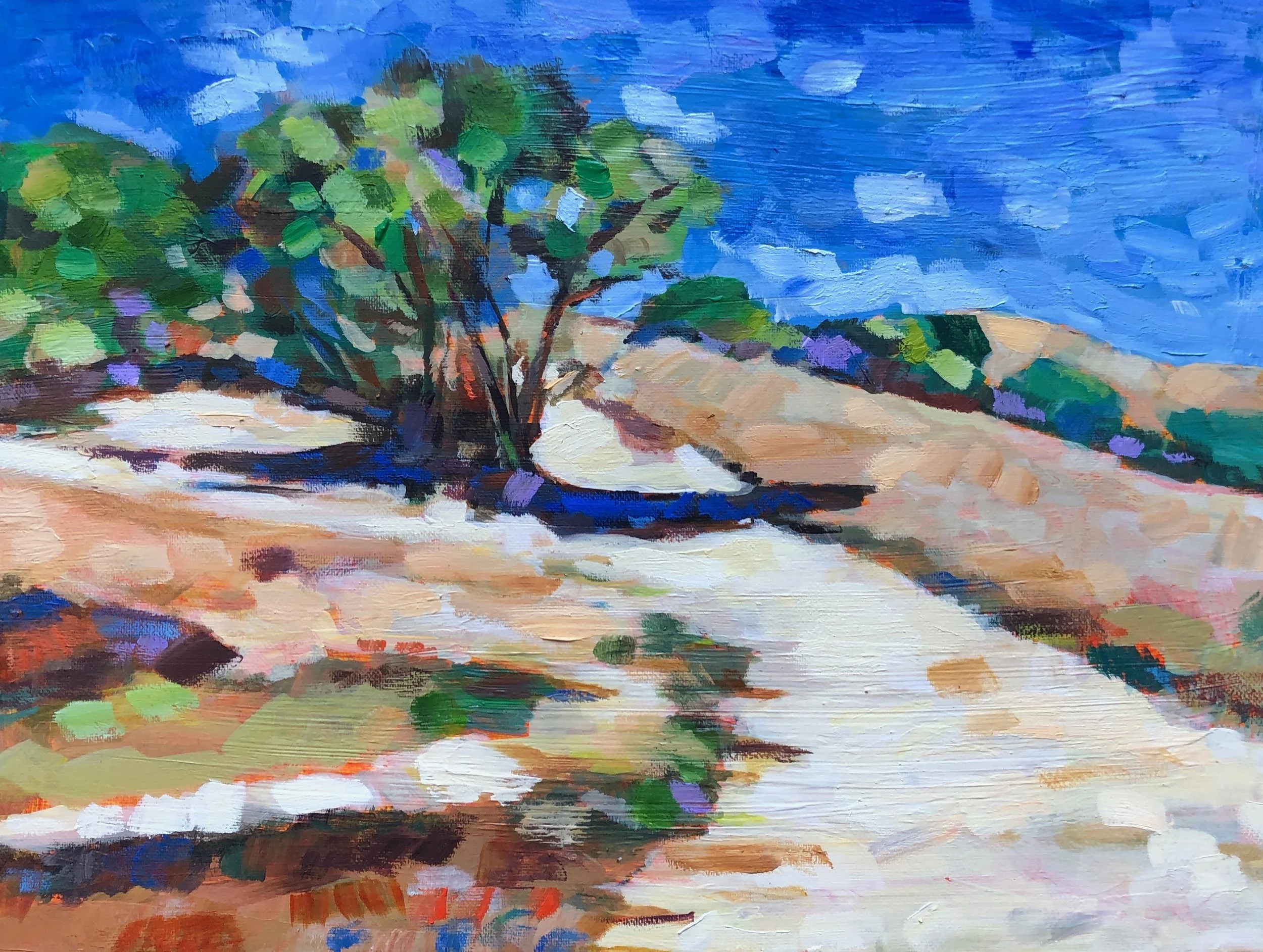 Lucas Valley Open Space