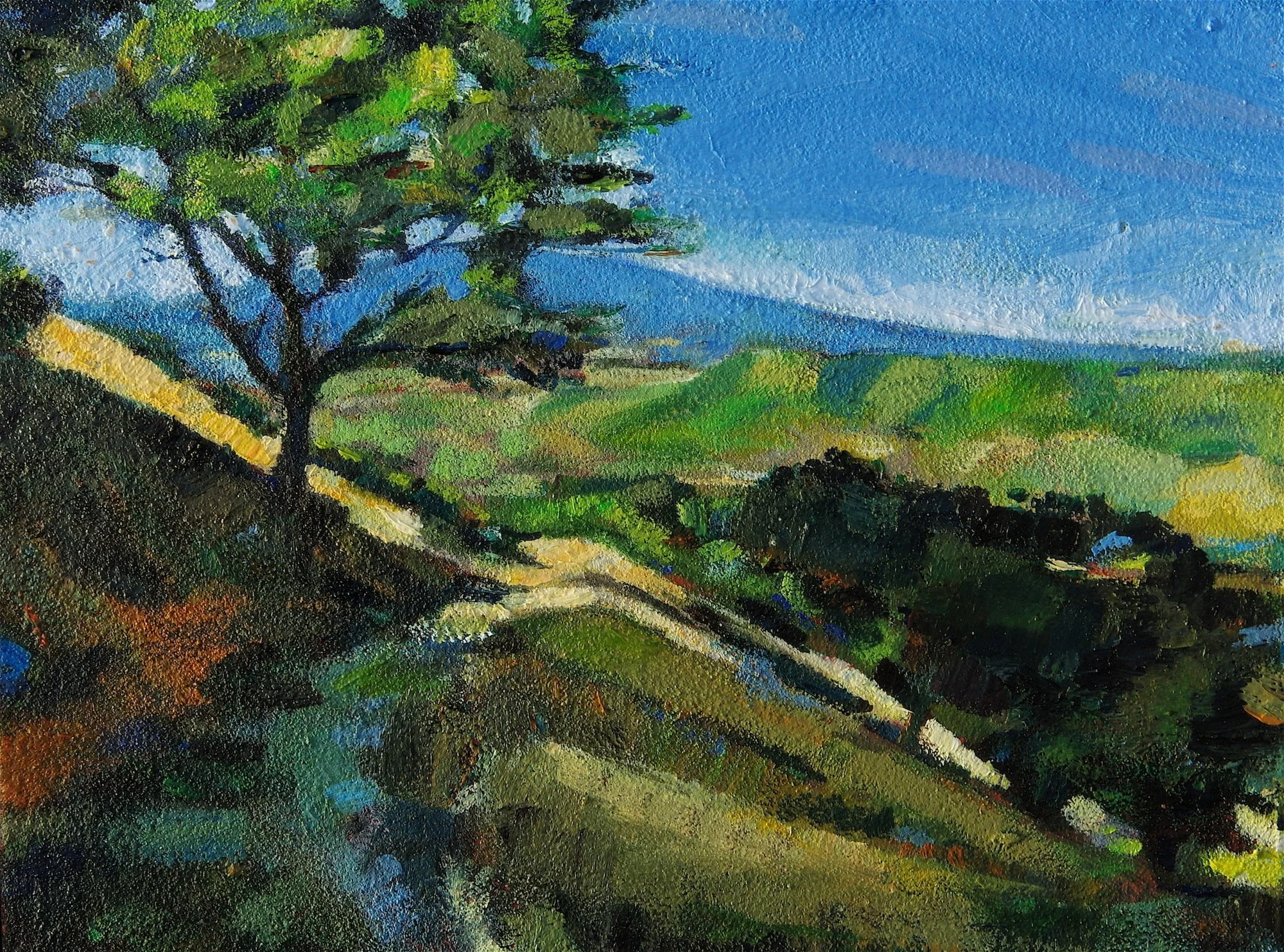 Above Lucas Valley 1