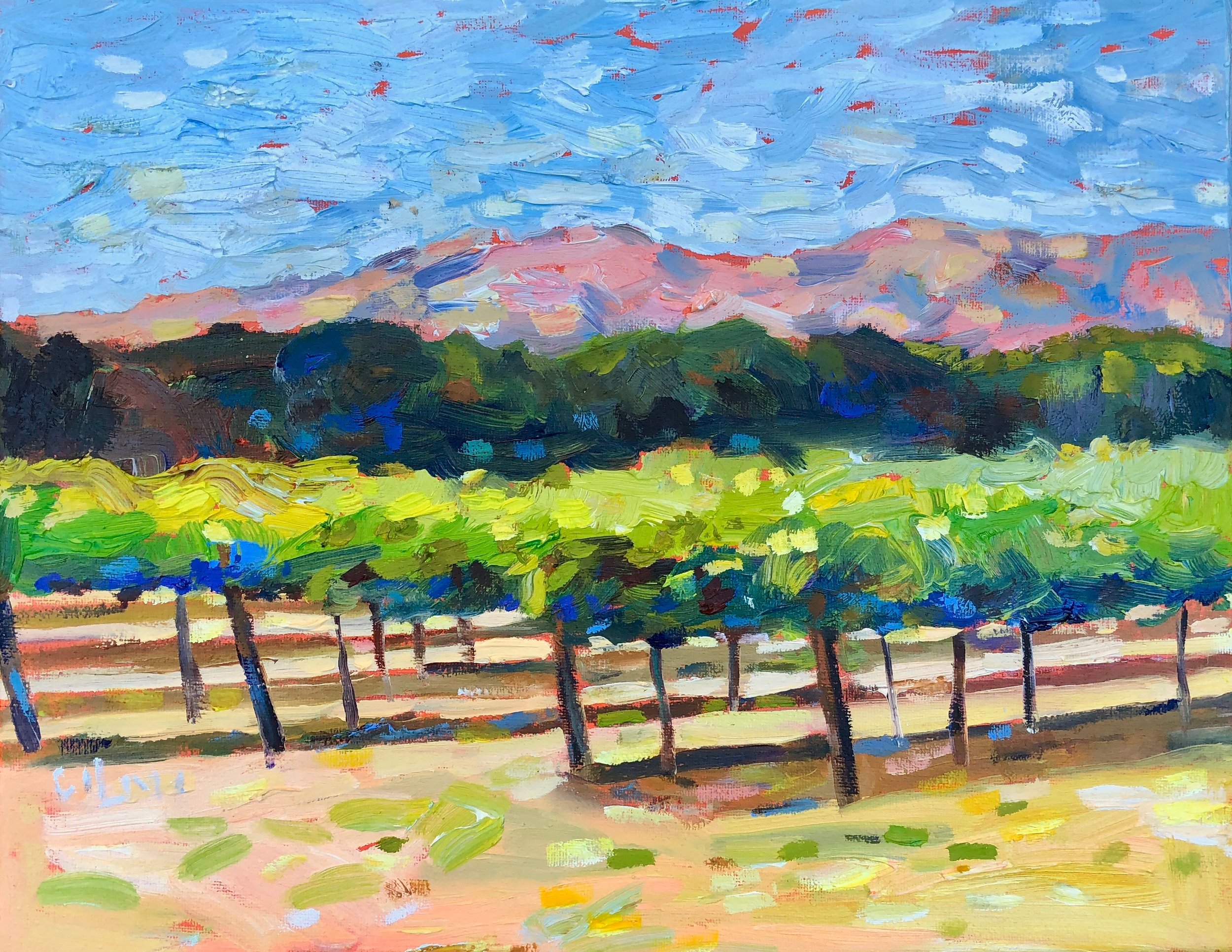 Vineyard View #2