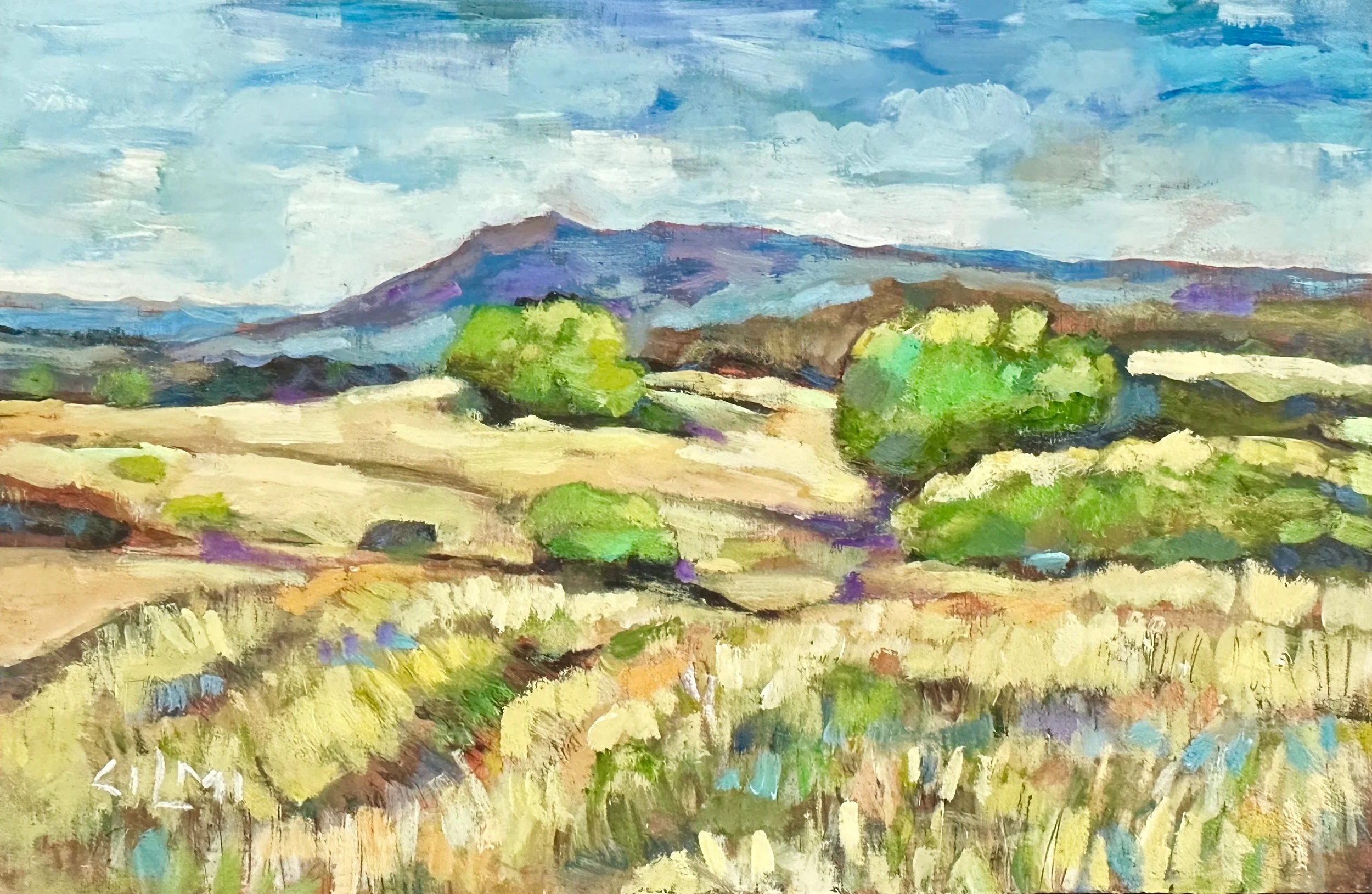 Sleepy Hollow Open Space