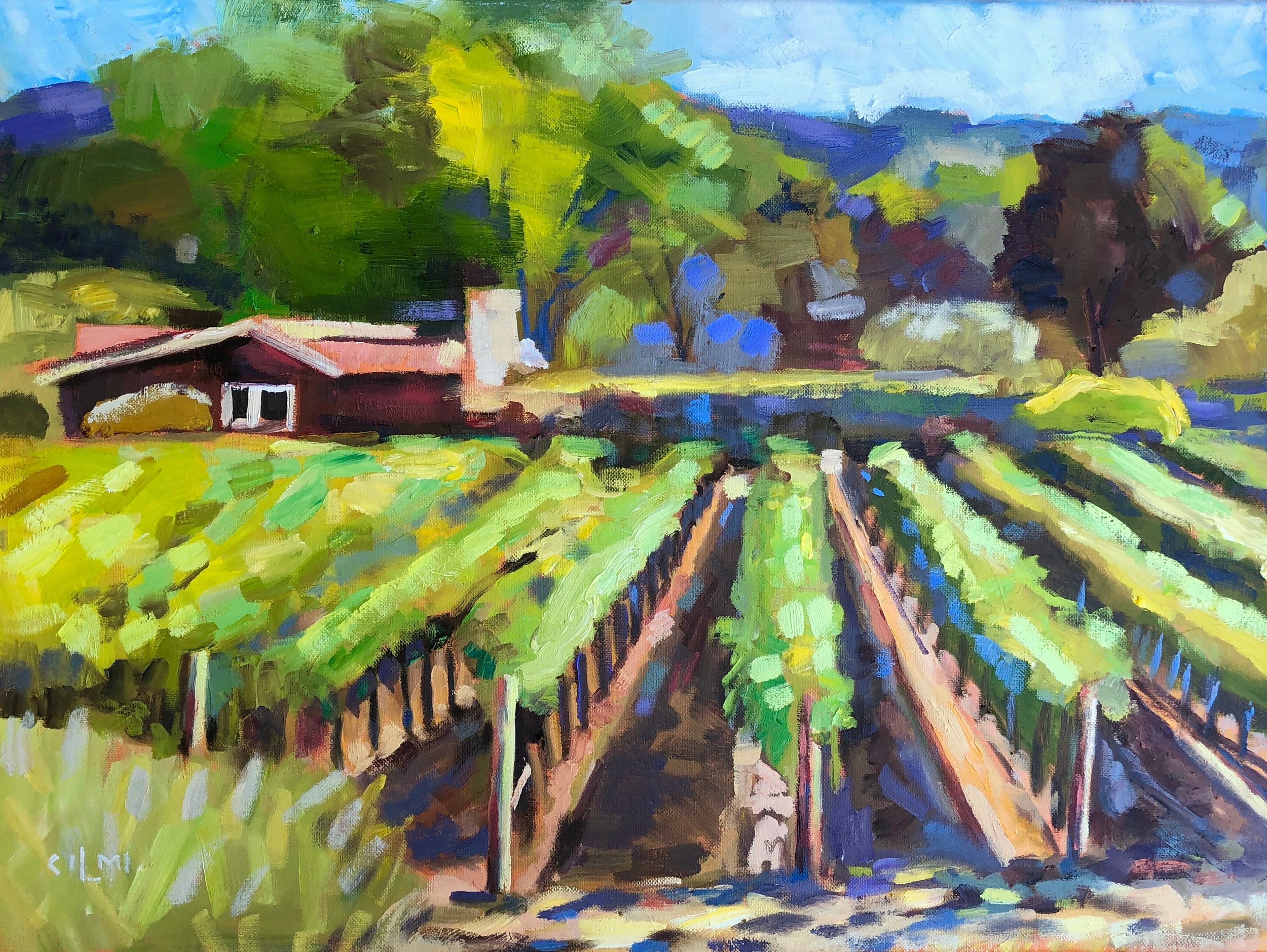 Vineyard View 4