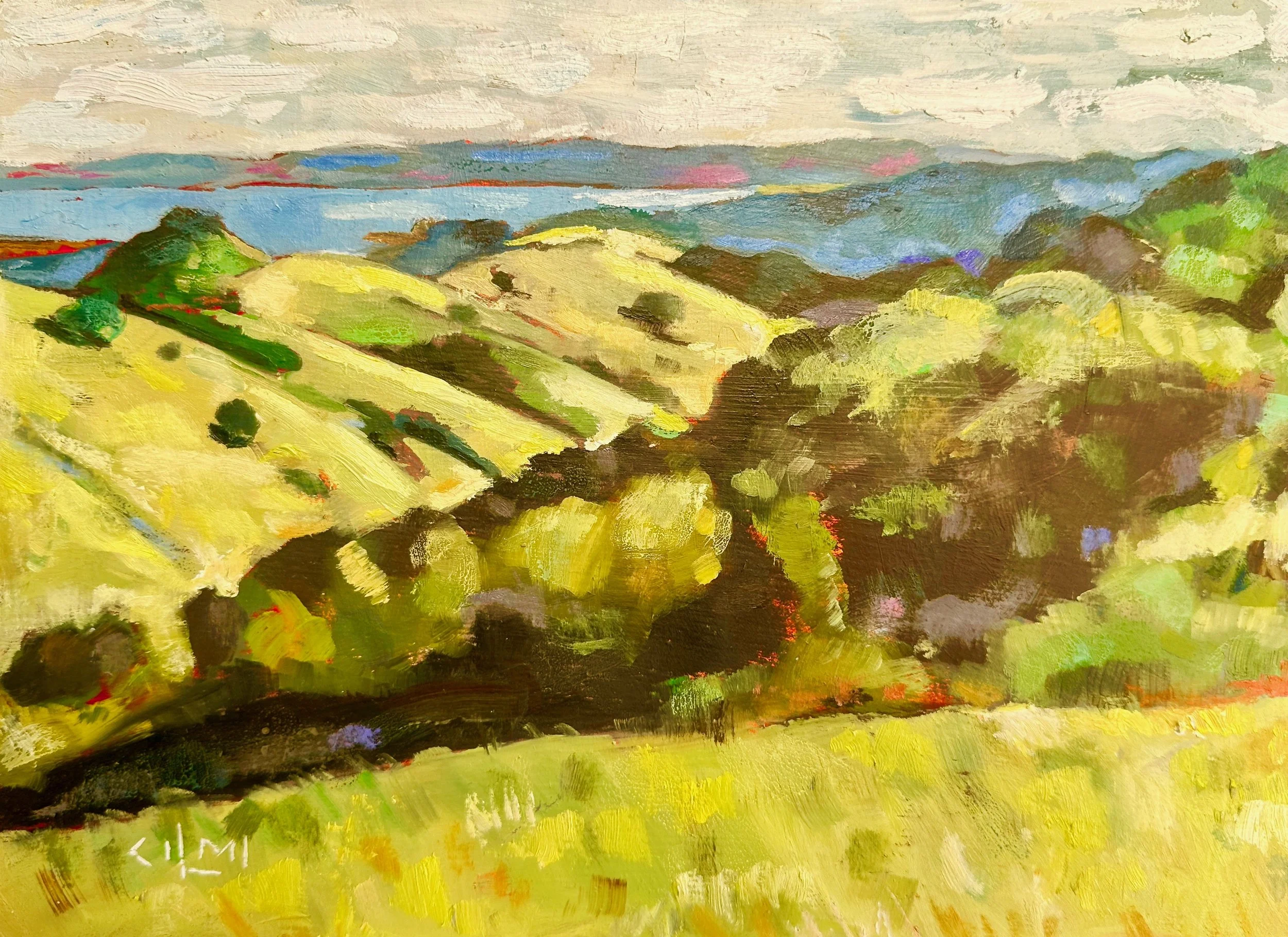 Terra Linda Open Space 5