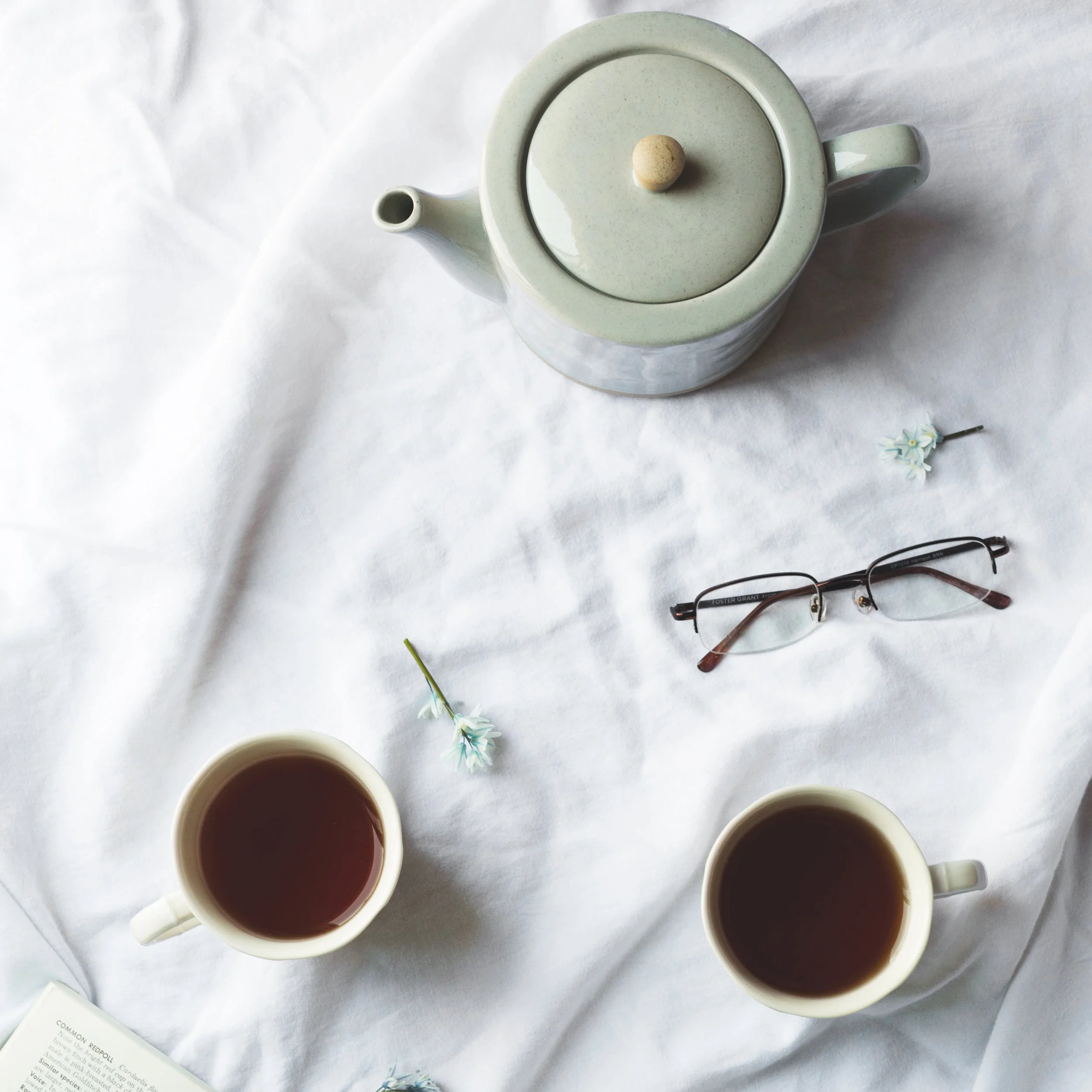 bird-book-and-tea-time_square.jpg