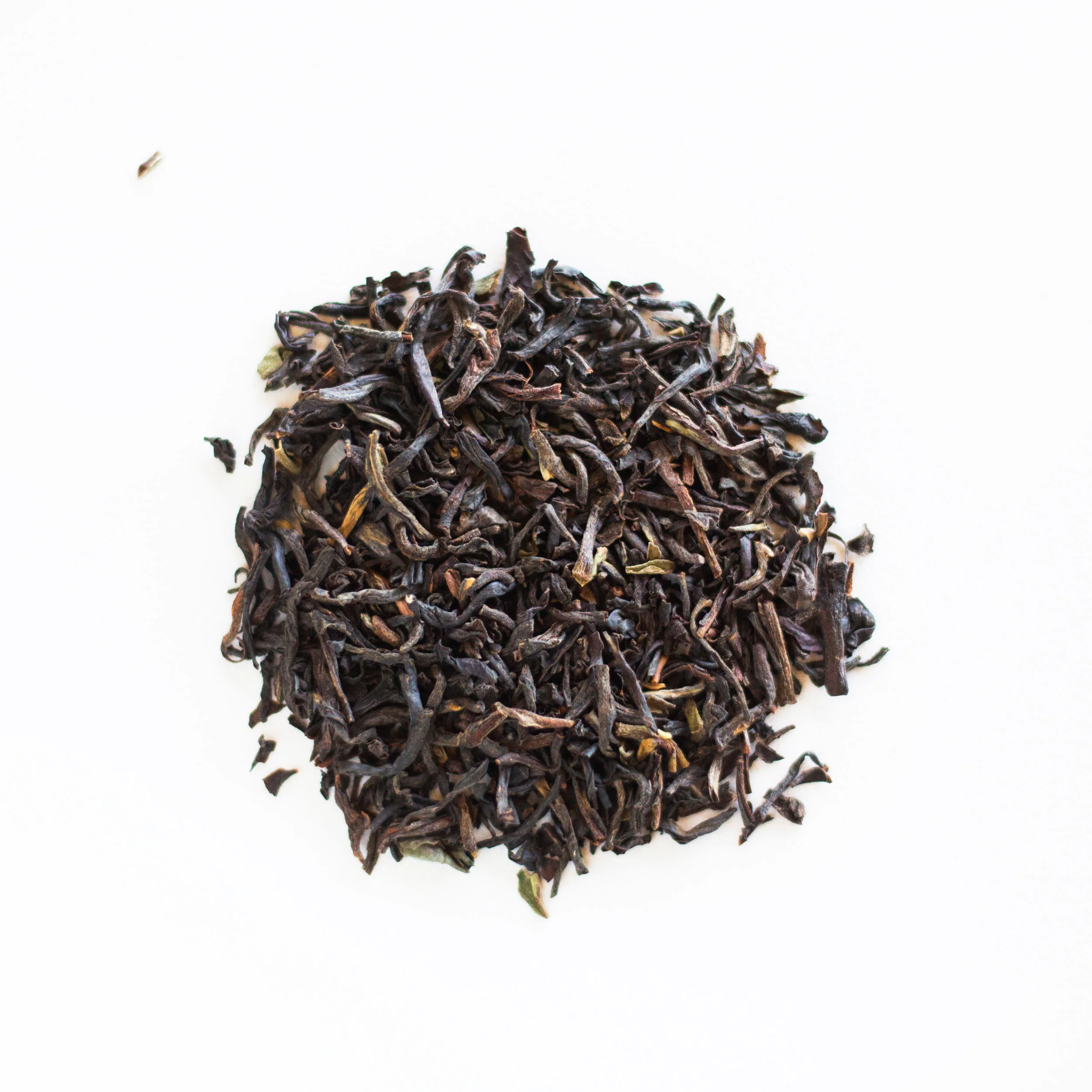 nilgiri_leaf_square.jpg