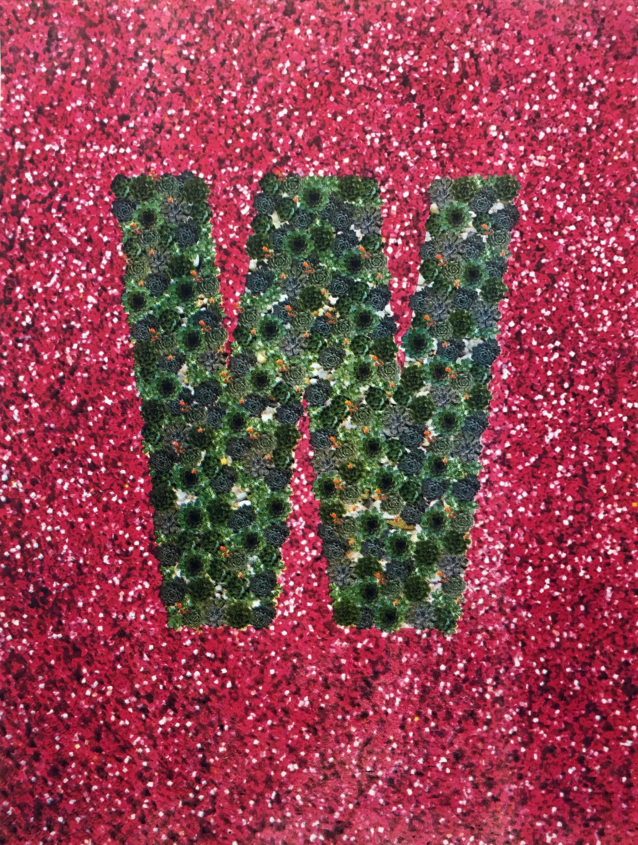 03_Jonathan McFadden_Neon Belly_Detail1.jpg