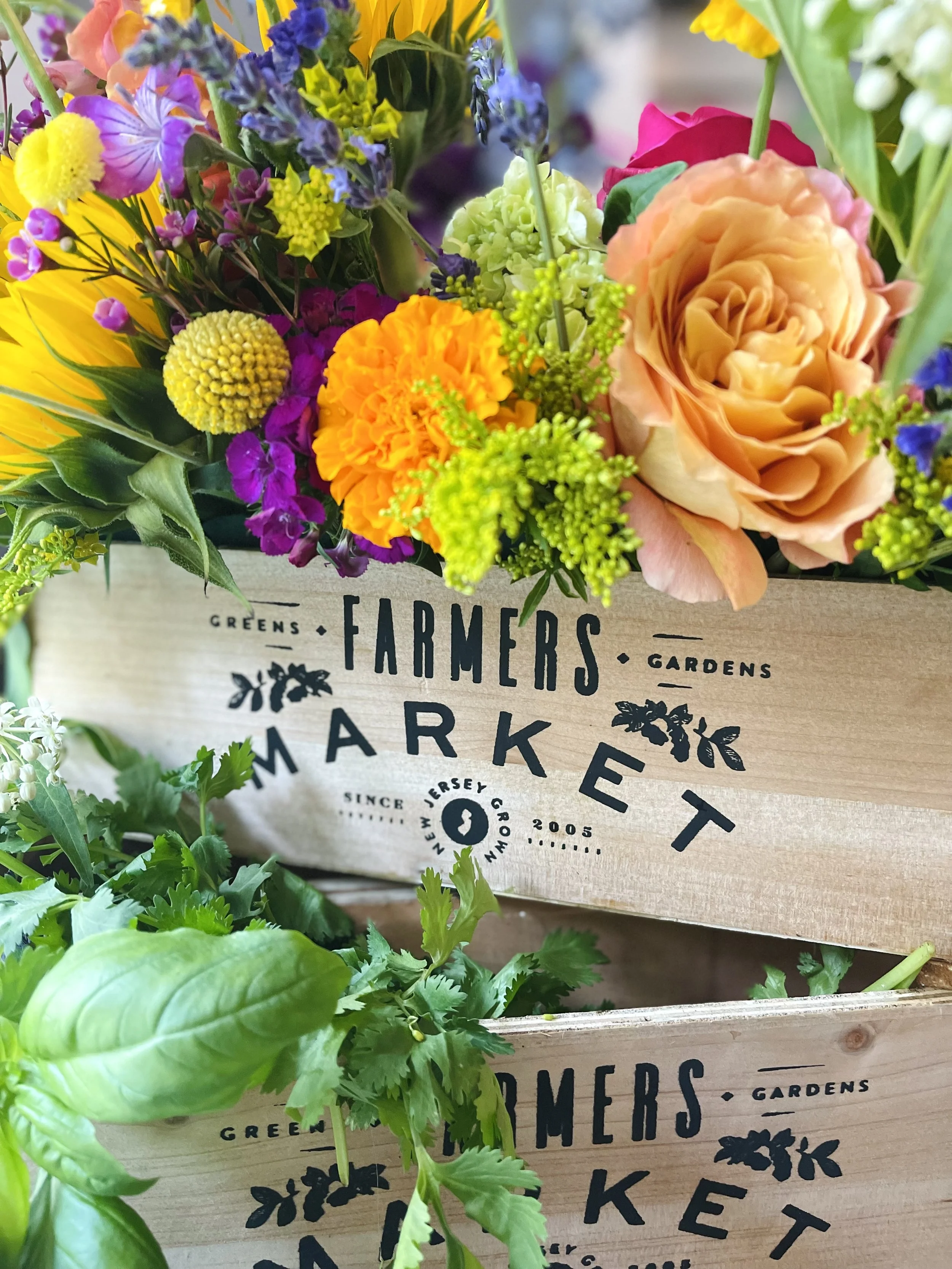 You’re My Cup of Tea