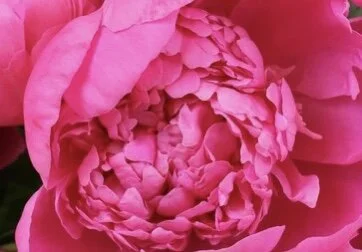 BCB3D6F6-3DA1-4539-8F3B-85BF9BF301F8