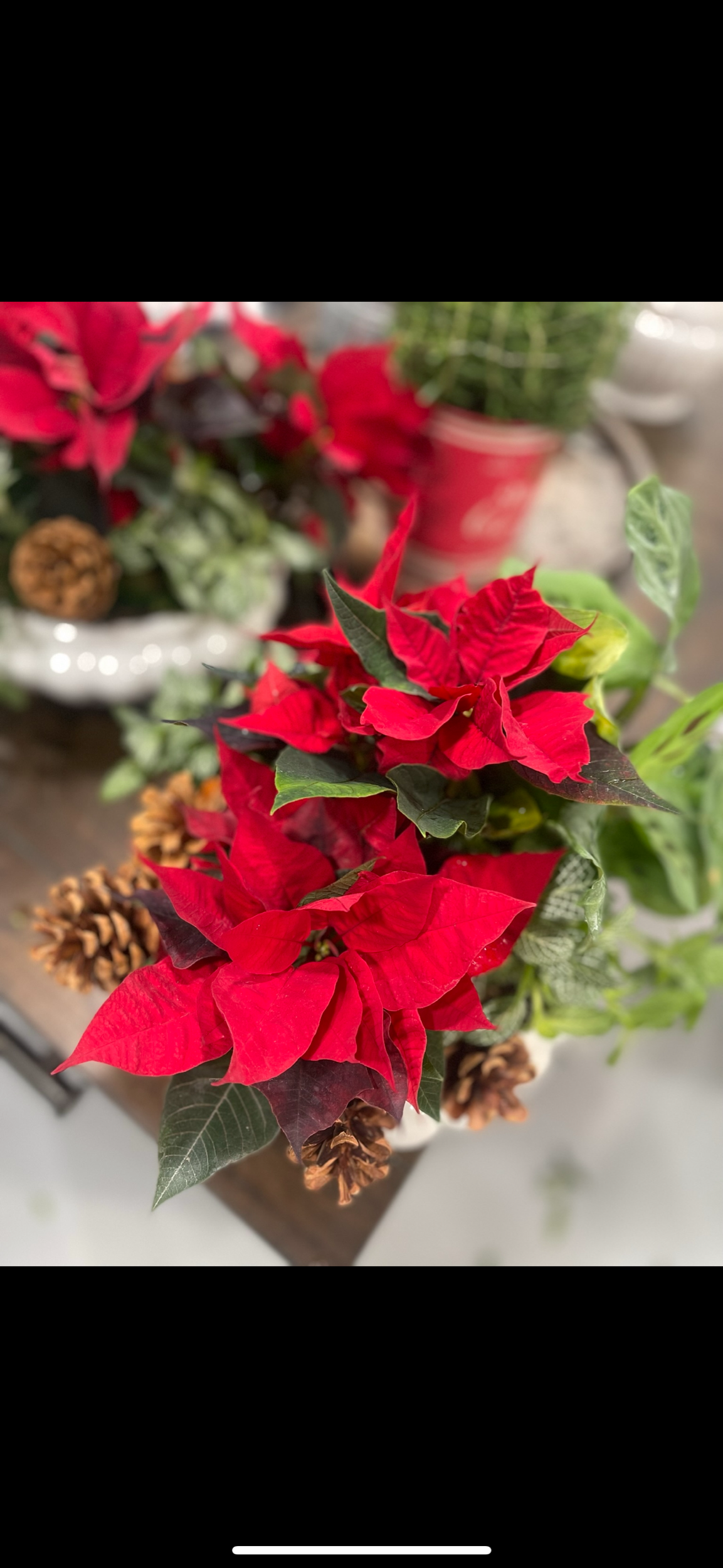 17190F6E-D44A-4923-90CD-AE66ECBE5B19