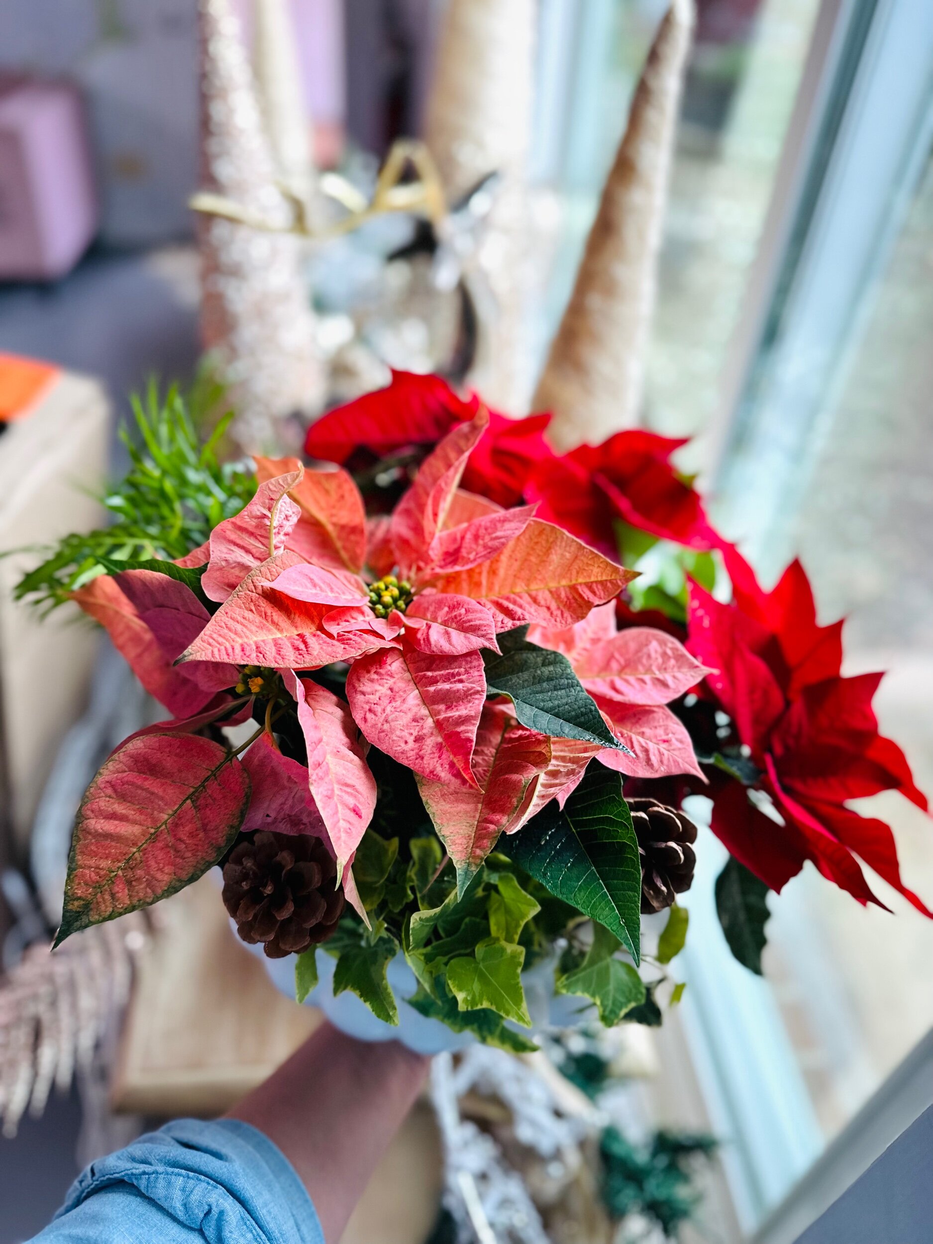 EA91E814-9856-49B8-97D3-E8C55CD8A383