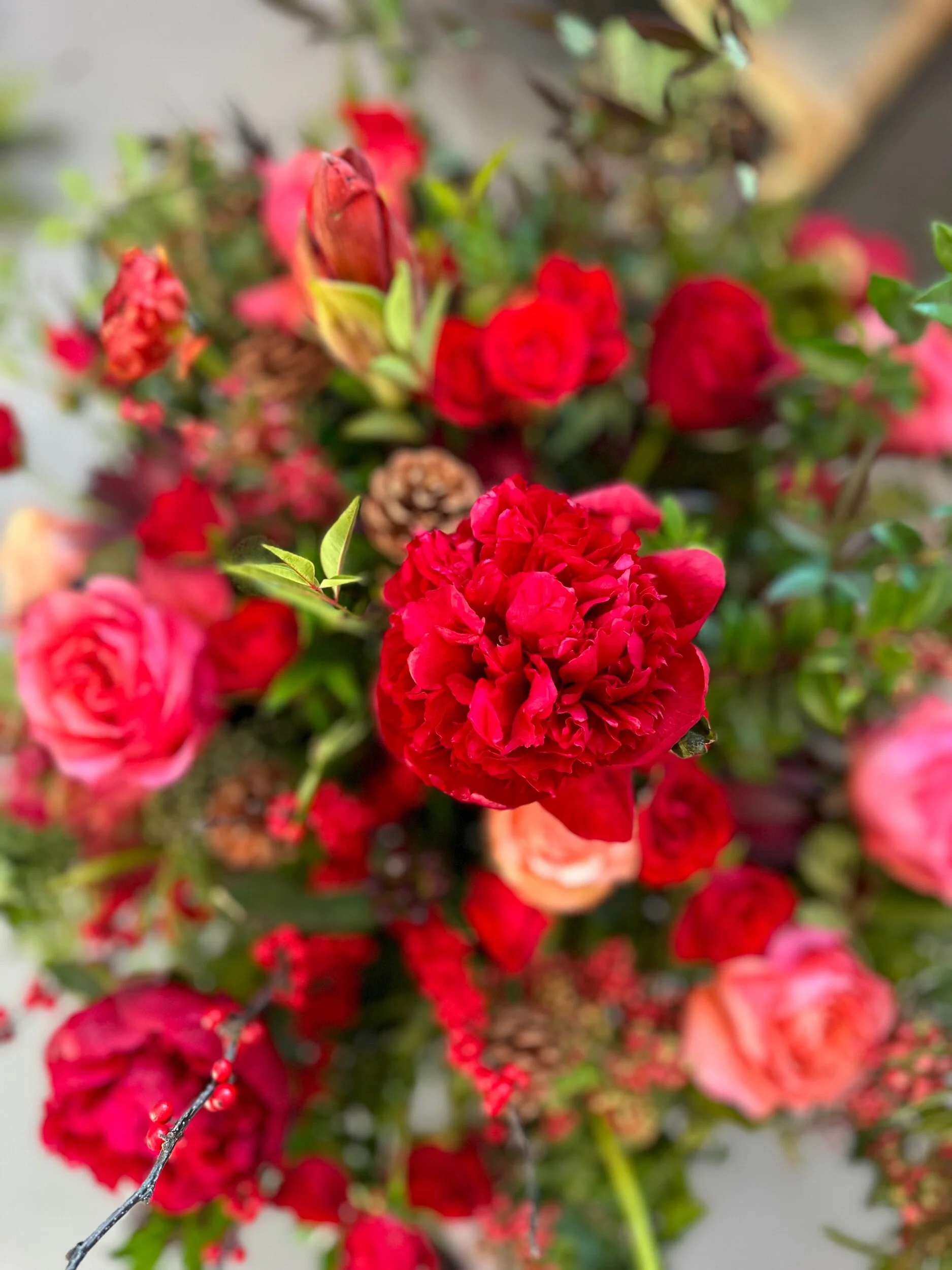 00D2FB9E-AE3A-4785-9546-AB4A1470854B