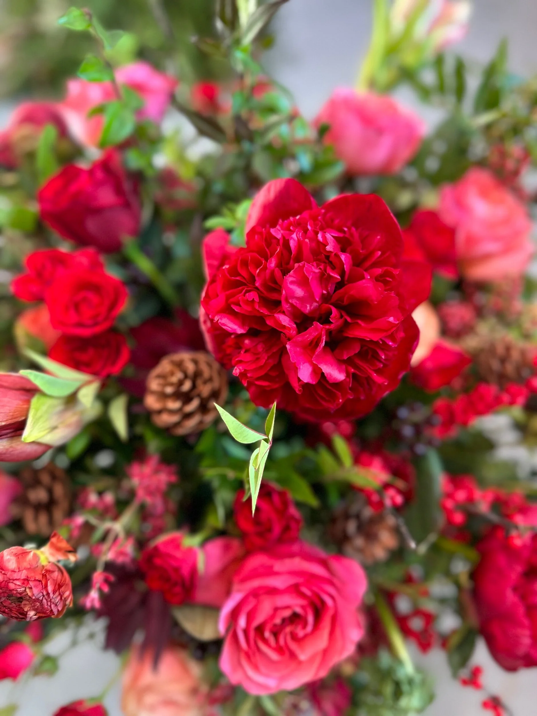 4744C041-B6B0-4452-9BE8-391BEF0EC9B4