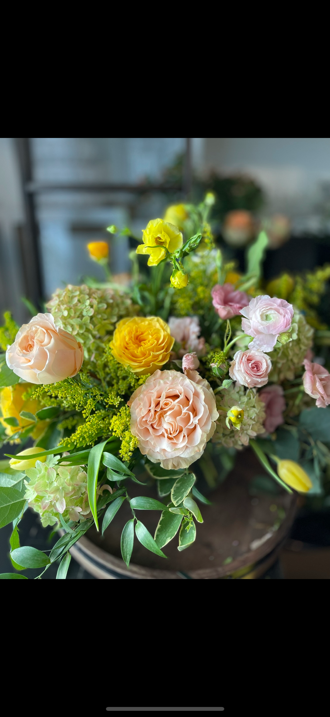 D4C2F6C6-D03C-47D8-817C-5E8E8C39CC1D