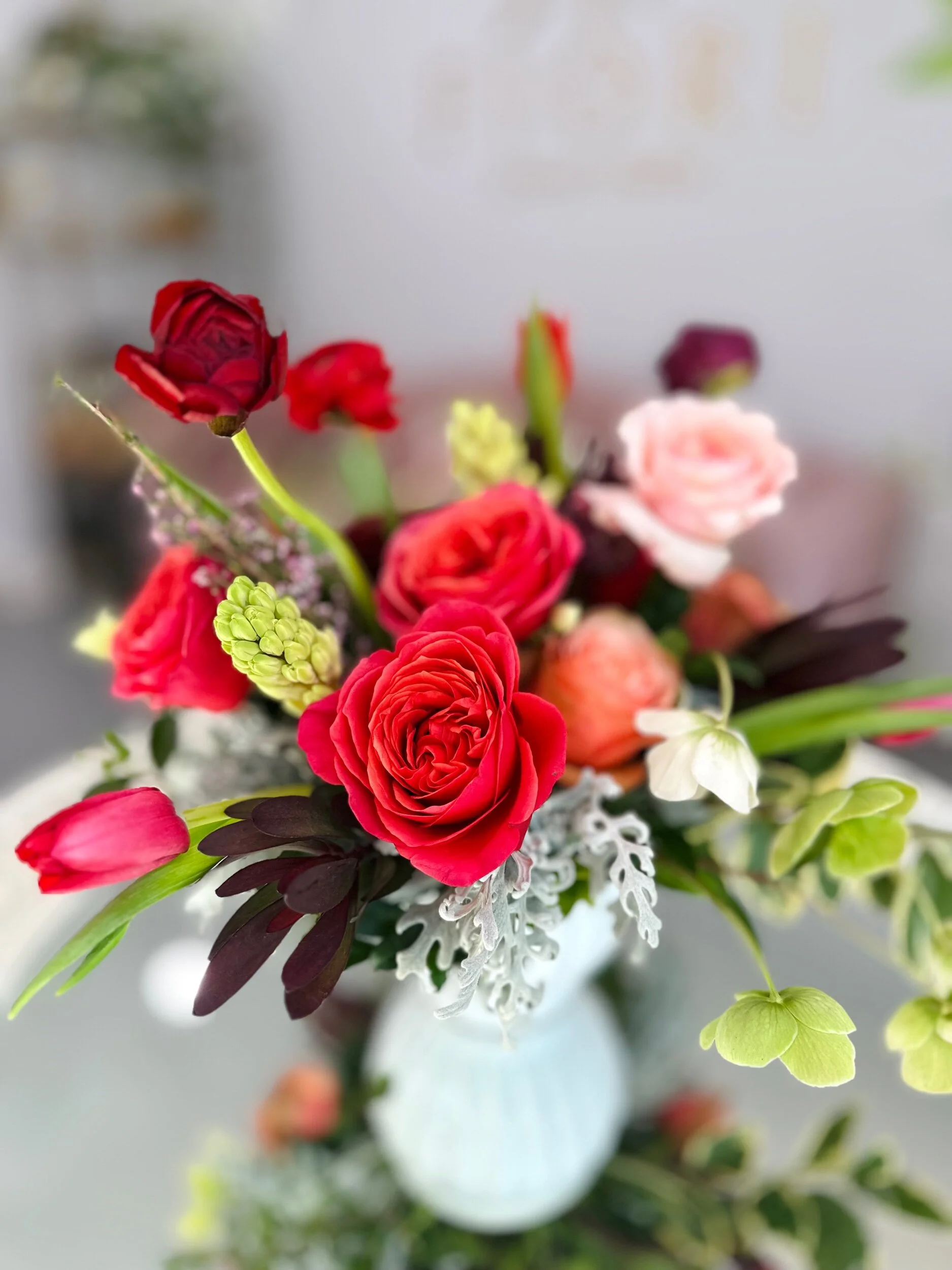 Geo Succulent Garden and plant mister