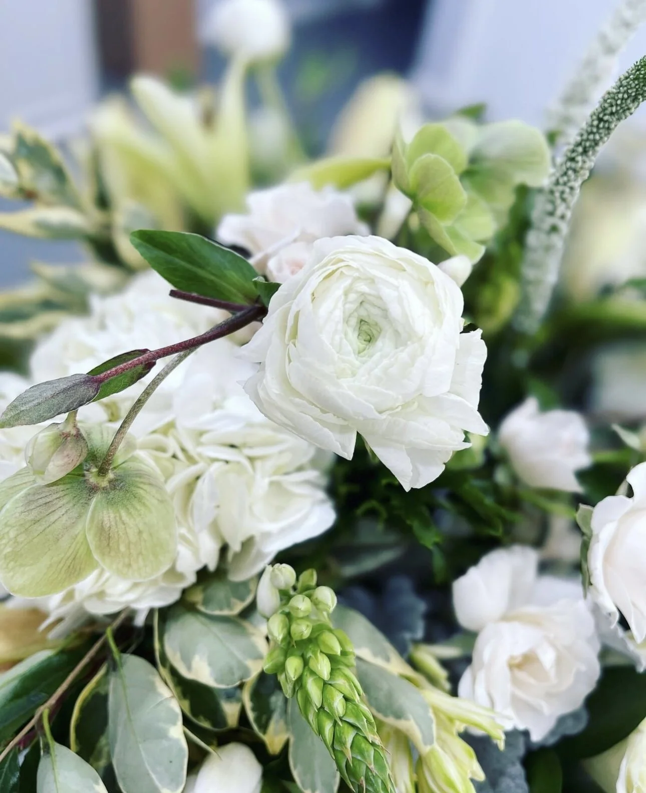 6B1445A9-AB0C-4B32-8101-79DA933D0A7A