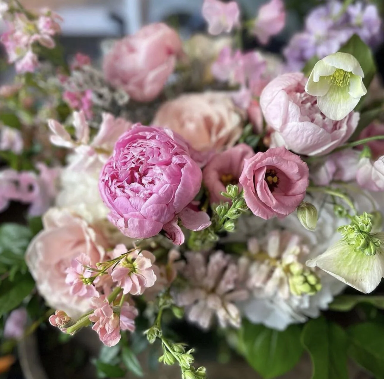 Coral Charm Peony Bowl