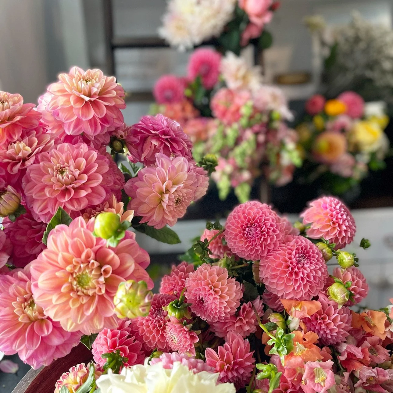 Fiori Floral Studio Charlottesville Flower Delivery