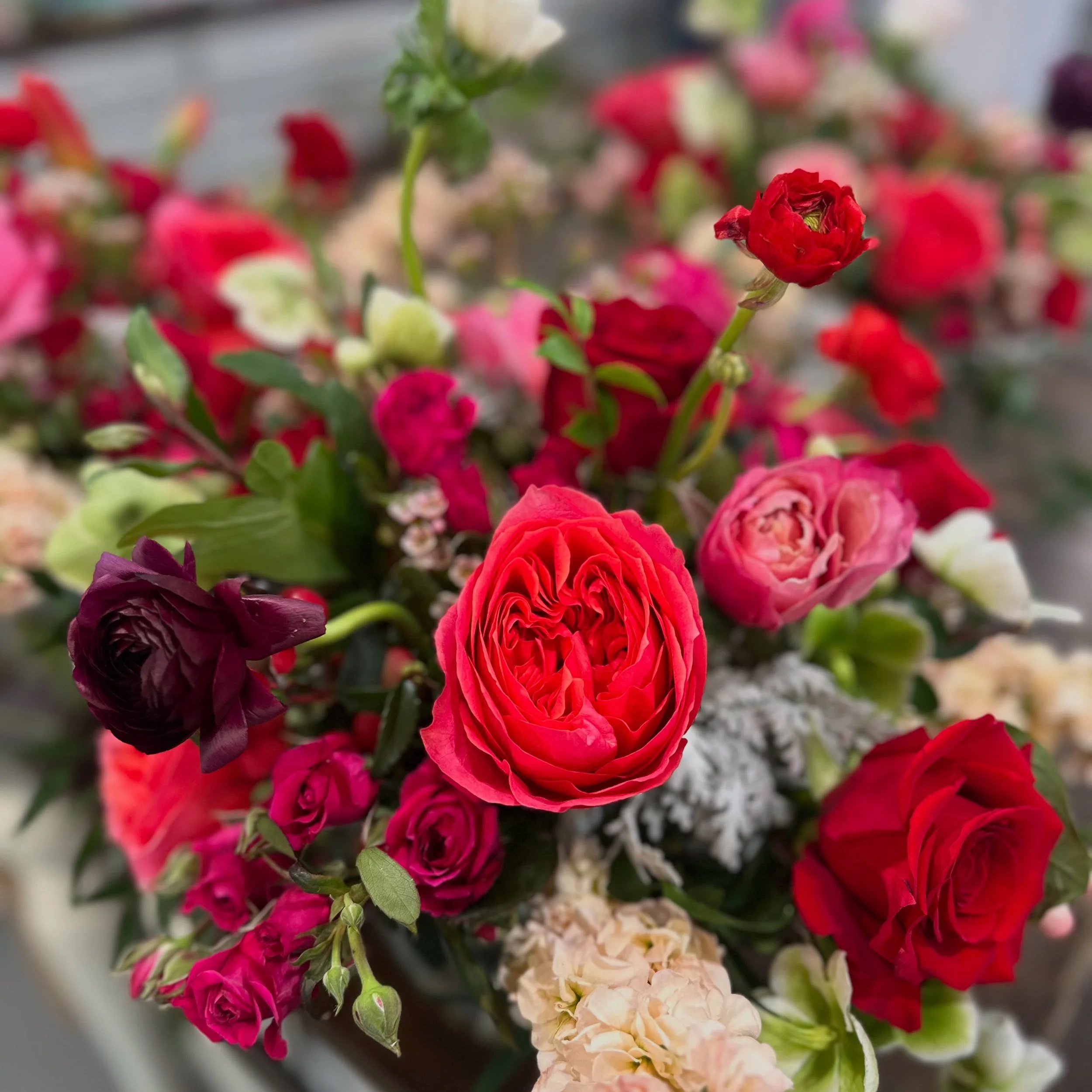 31C27FD5-0A83-45B2-B056-FA9C5DFEA01B.jpeg (Copy)