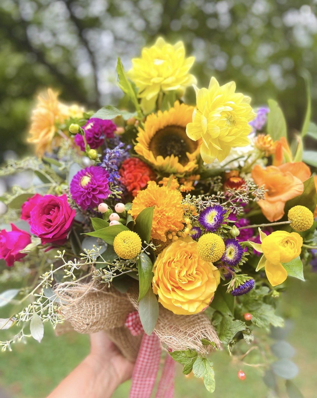 26E252FE-08C0-48DB-A832-7D3B709D255B.jpeg
