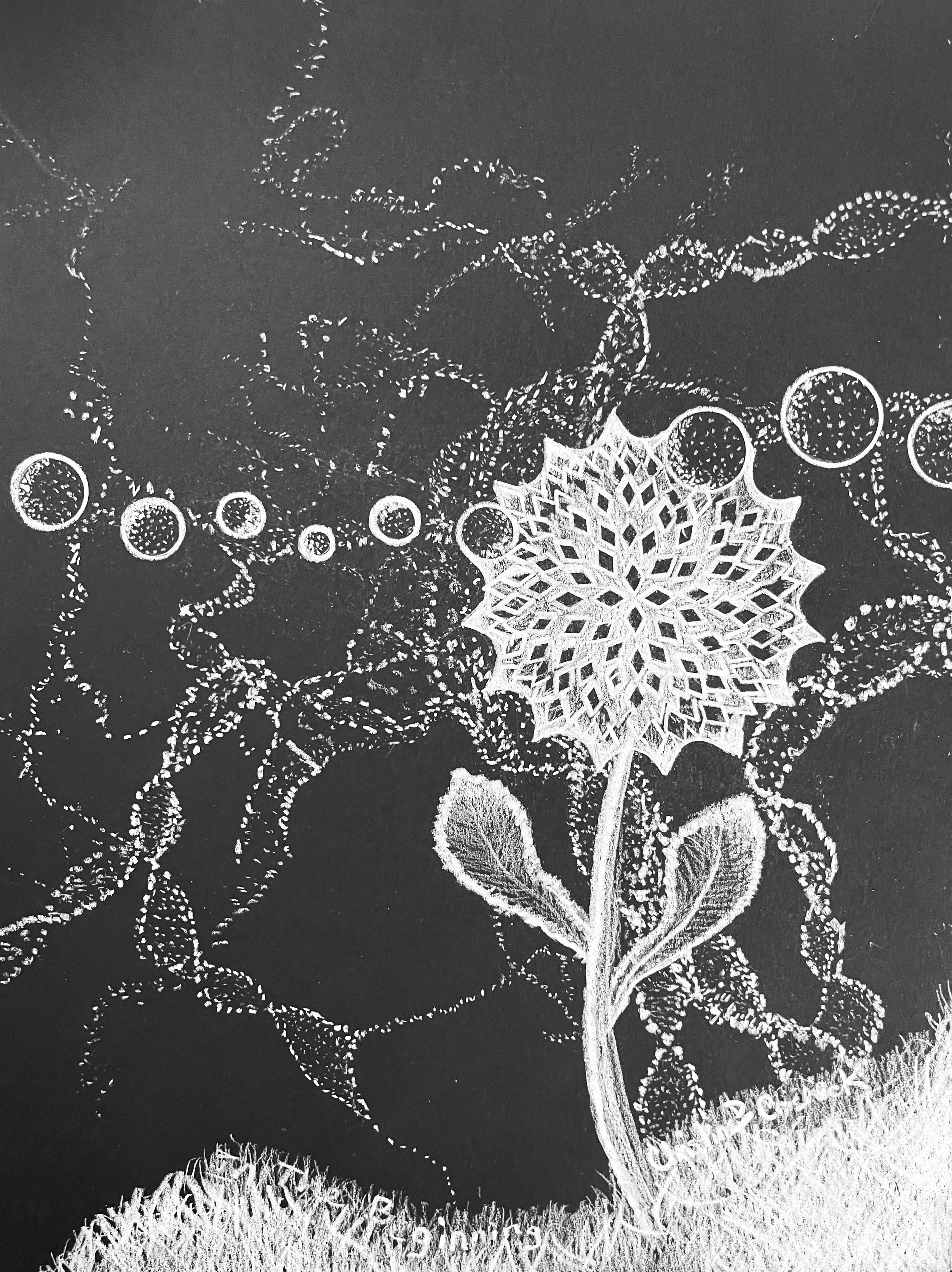 Fantasy Art, Original Drawing, Title: In The Beginning, Colored Pencil on Black Paper, 9” by 12”