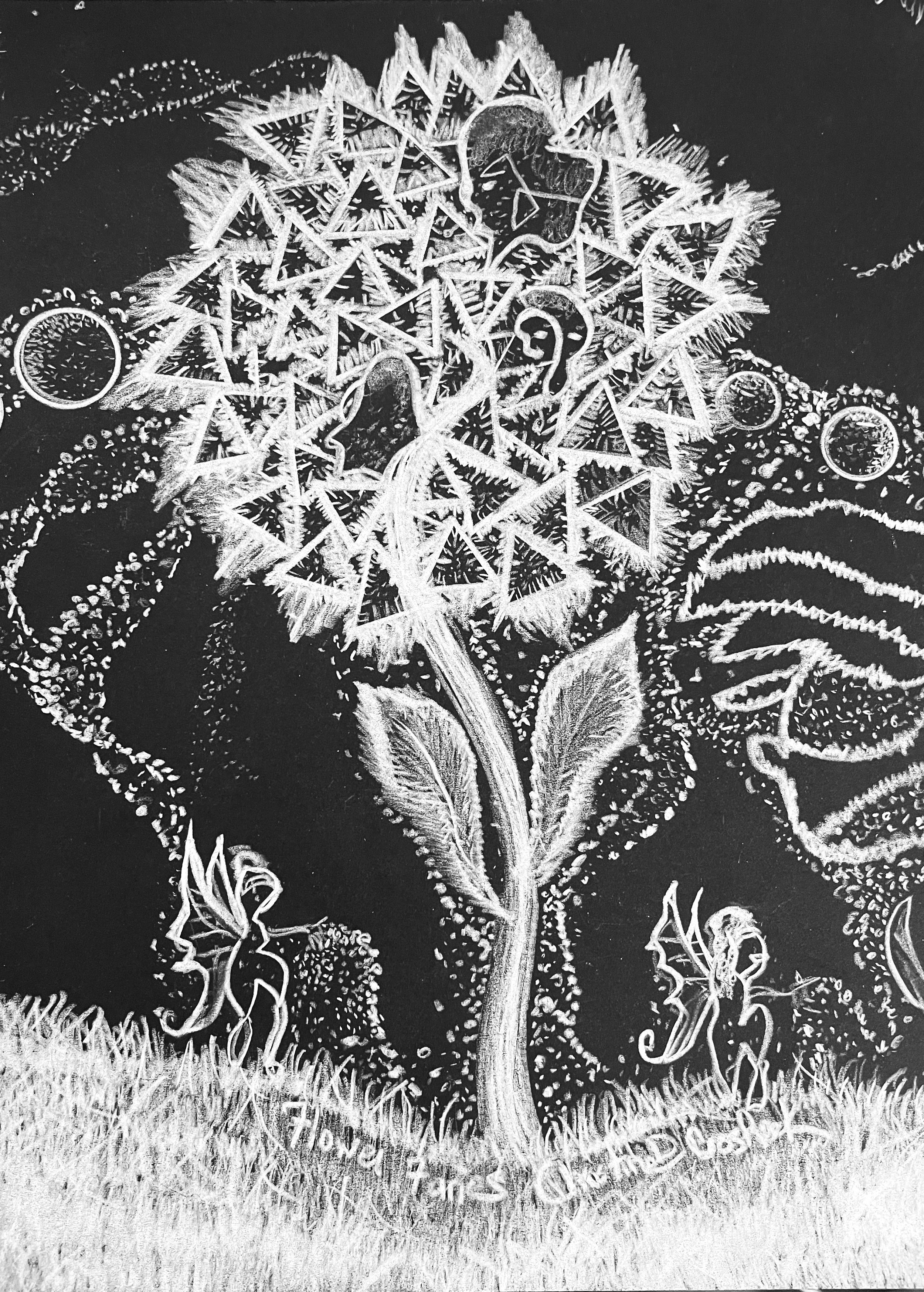 Fantasy Art, Original Drawing, Title: Flower Fairies, Colored Pencil on Black Paper, 9” by 12”