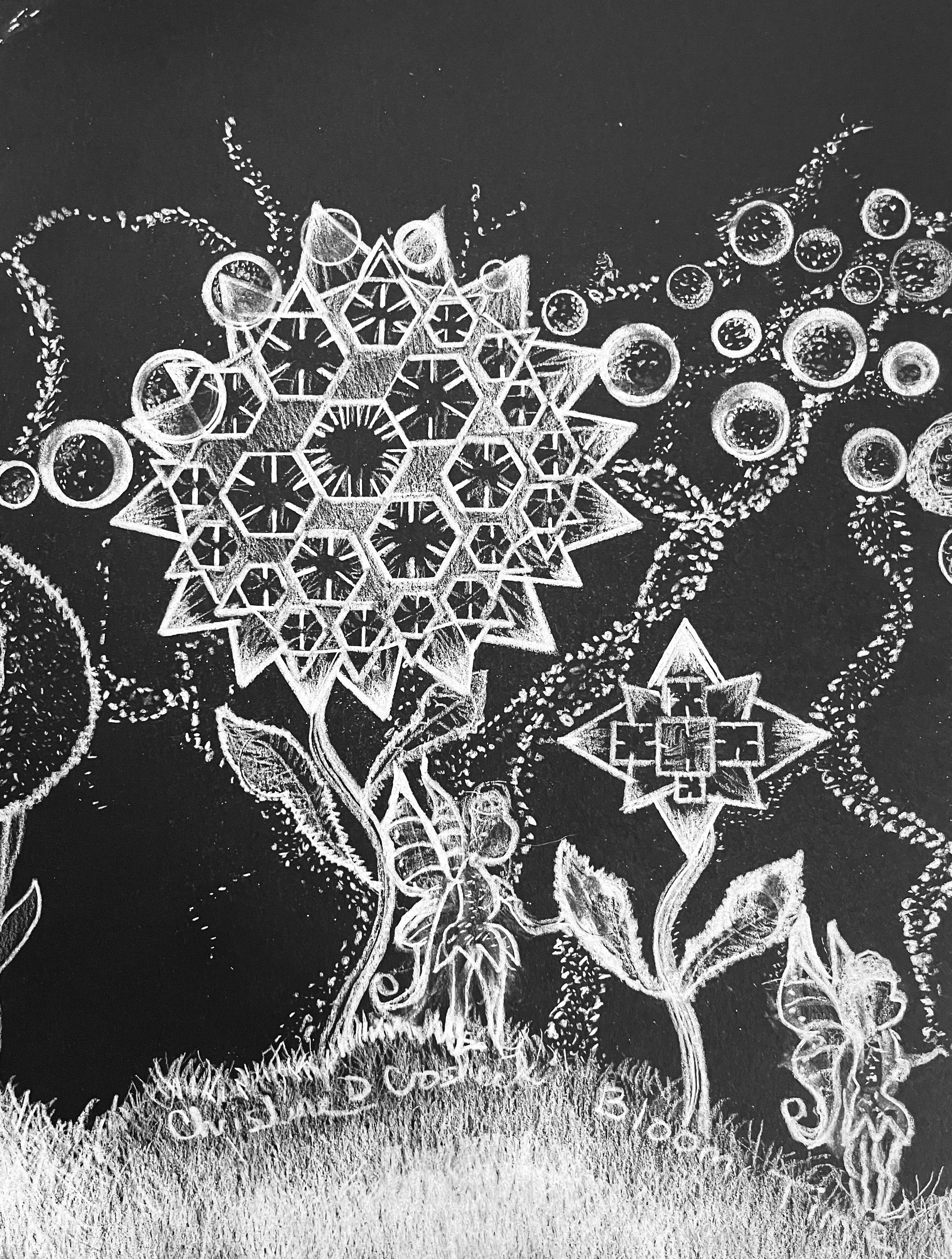 Fantasy Art, Original Drawing, Title: Bloom Time, Colored Pencil on Black Paper, 9” by 12”