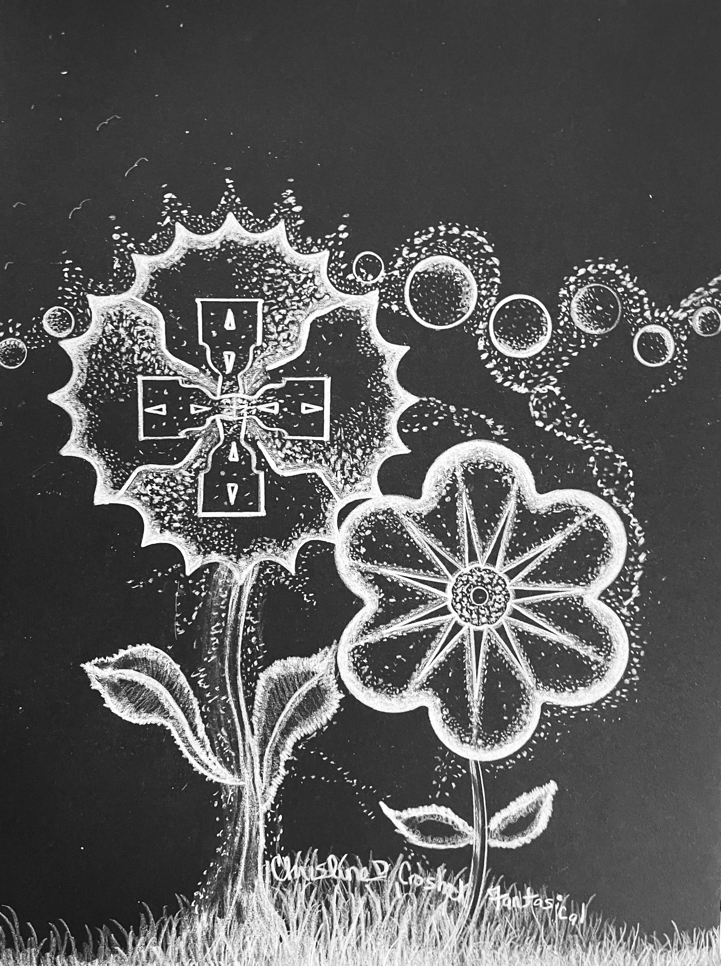 Fantasy Art, Original Drawing, Title: Fantastical, Colored Pencil on Black Paper, 9” by 12”