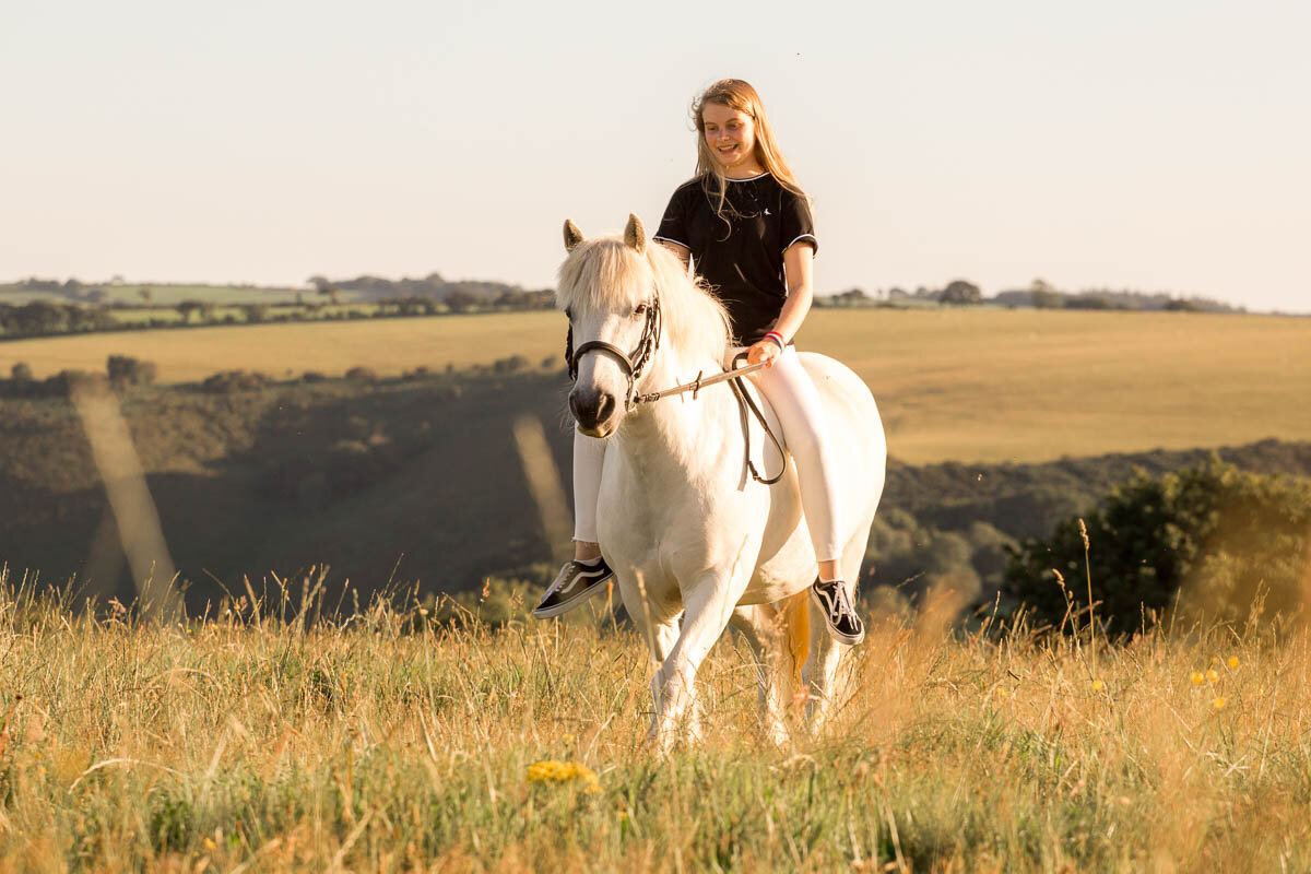 horse-photographer-cornwall.jpg