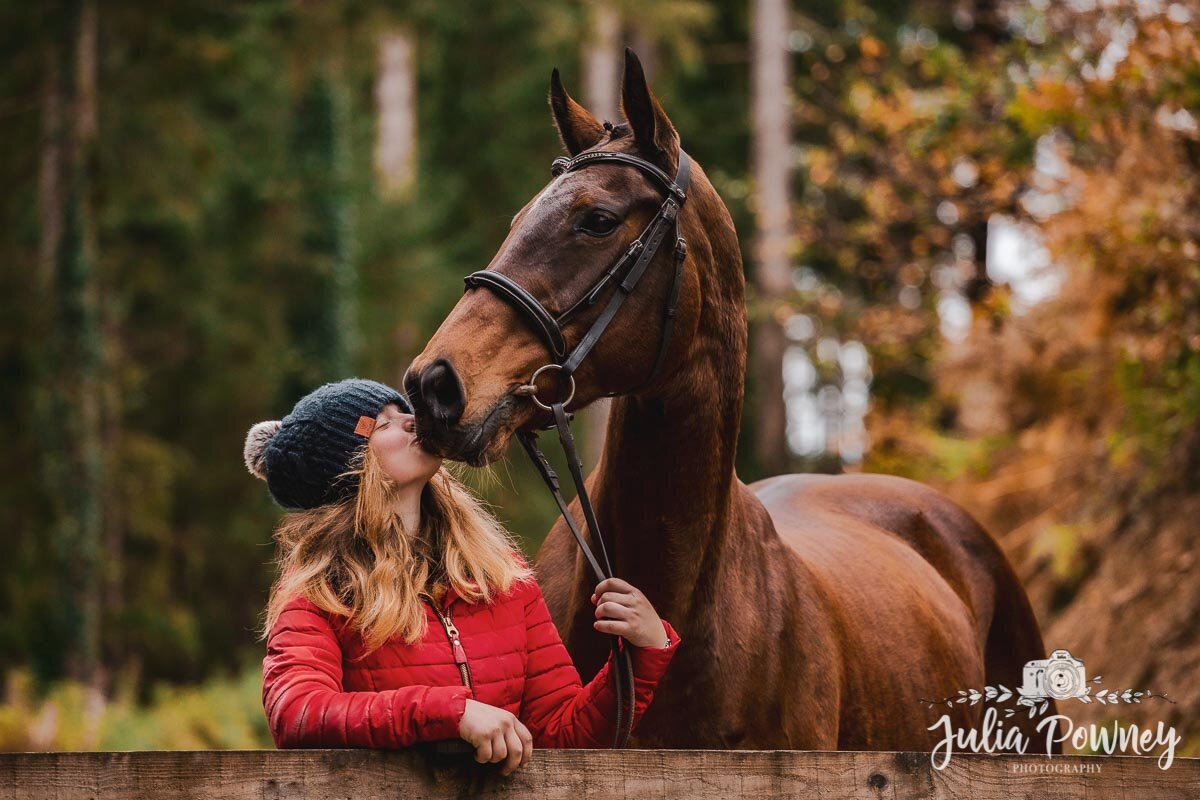 horse-photographer-exeter-2.jpg