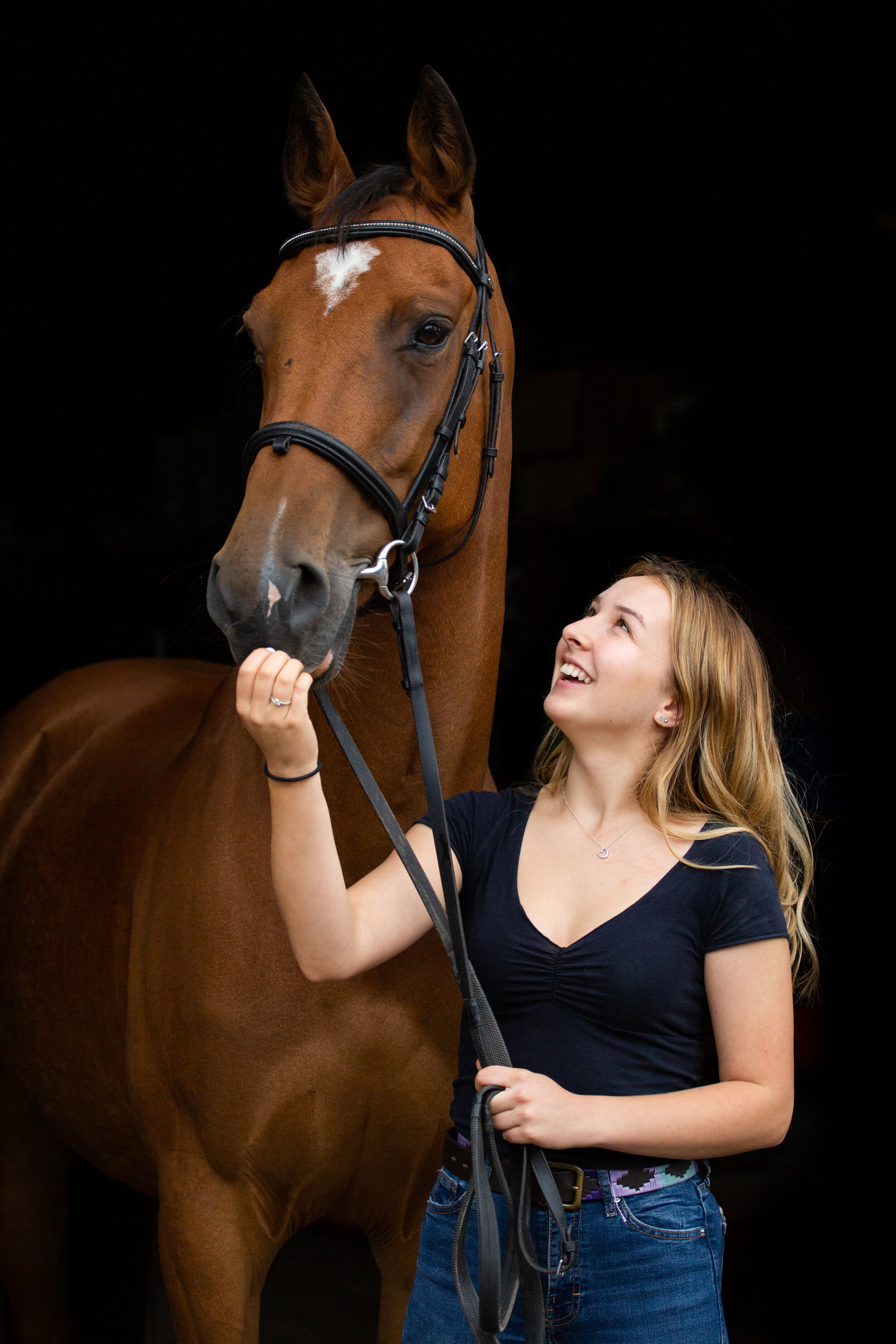 Horse-photography-devon-exeter.jpg