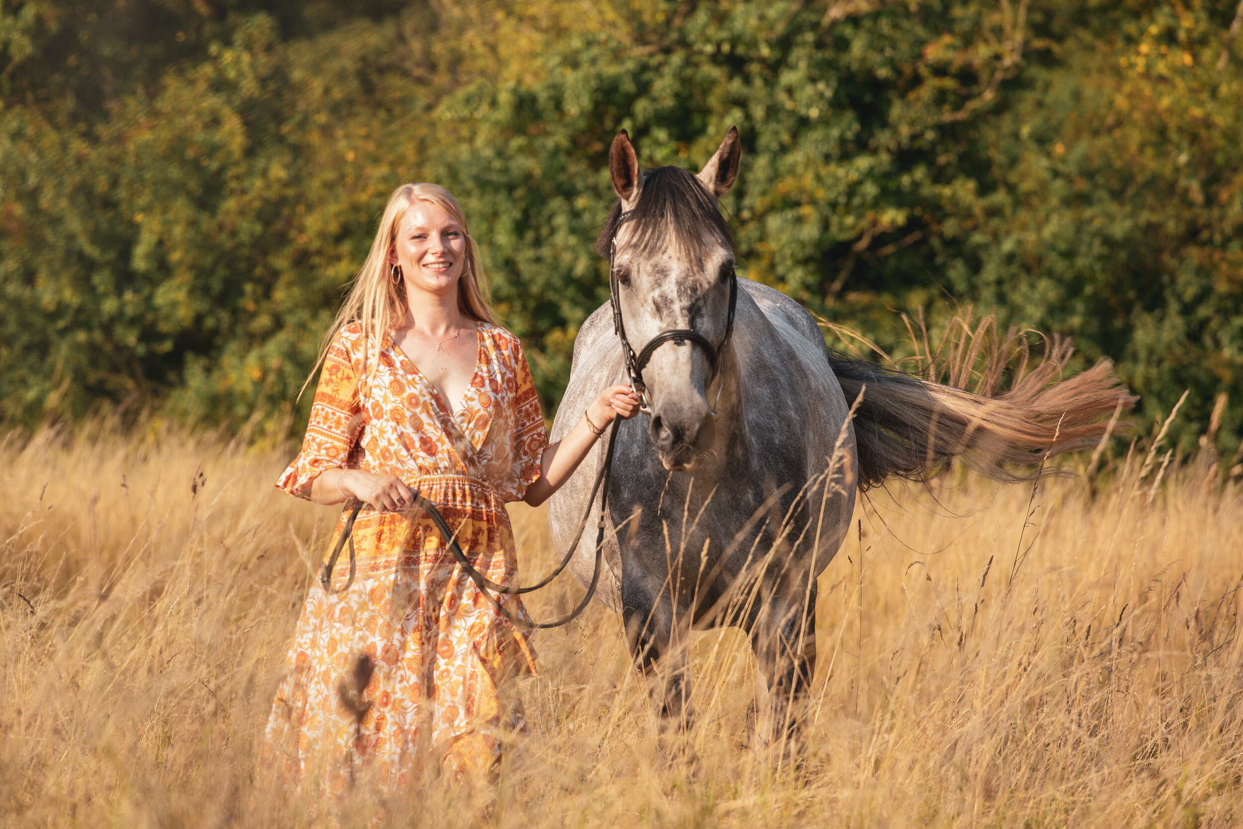 horse-photography-southwest-exeter.jpg