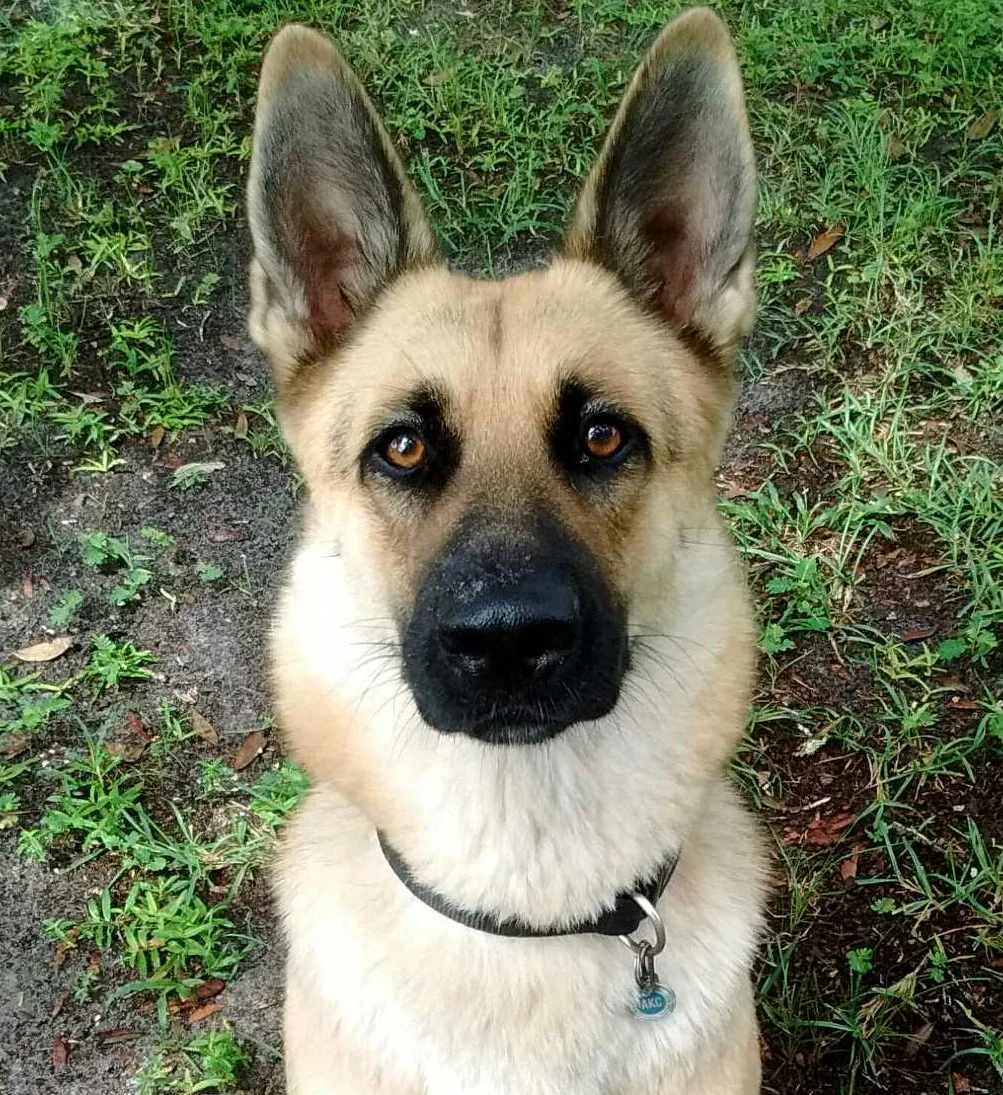 Jett Picture2.jpg