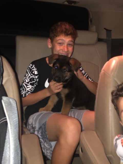 A new family with three boys to play with!