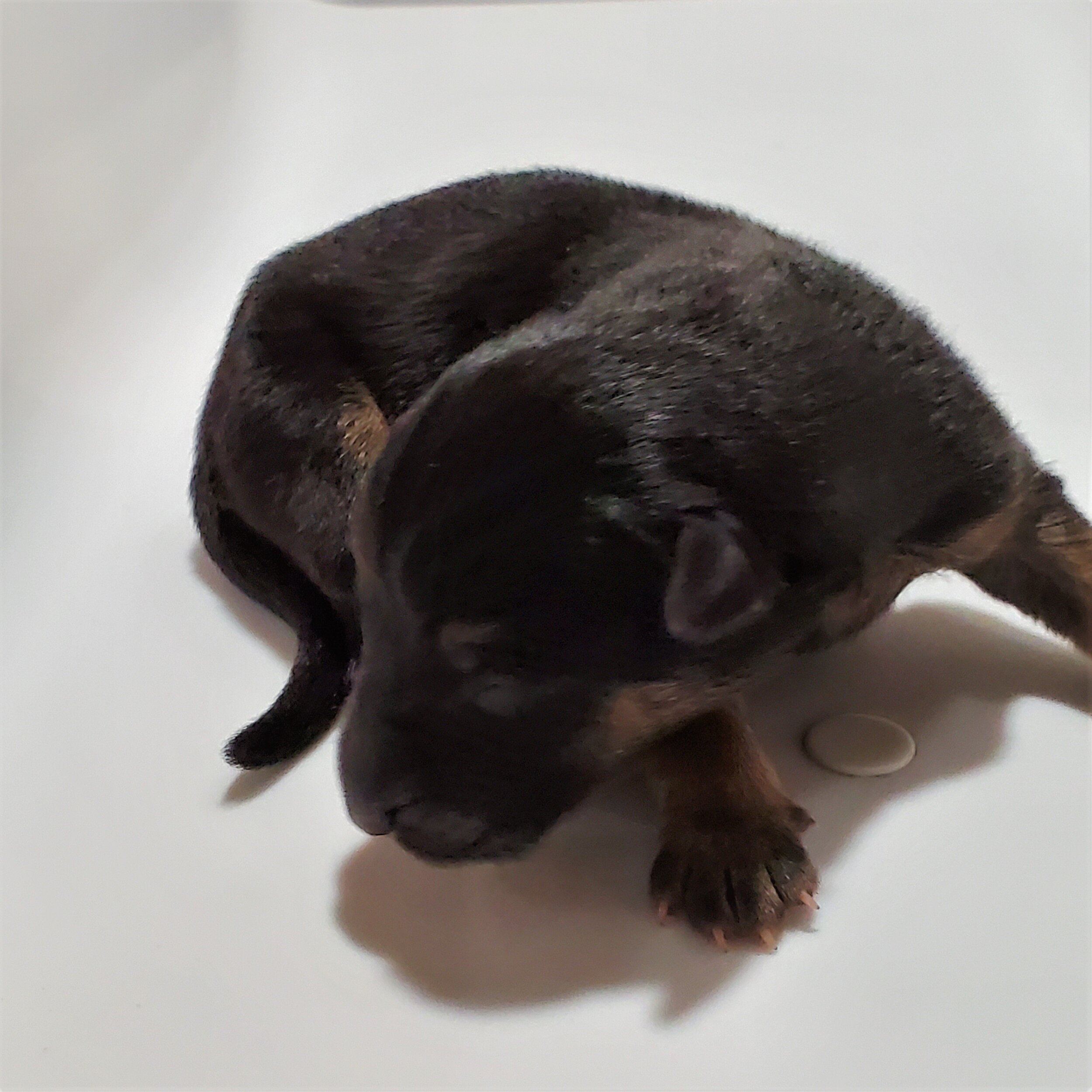 Two Days Old