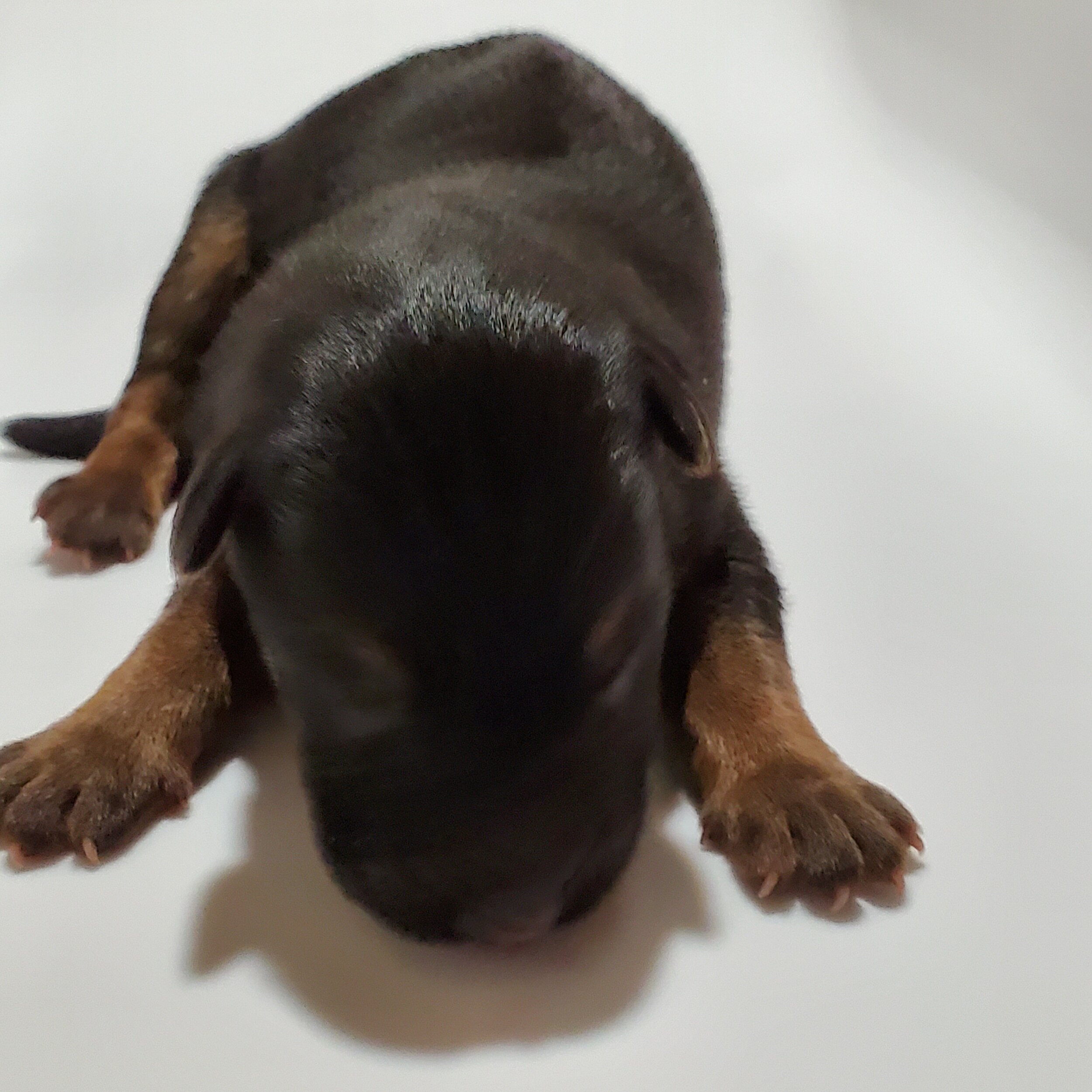 Such a Cutie!