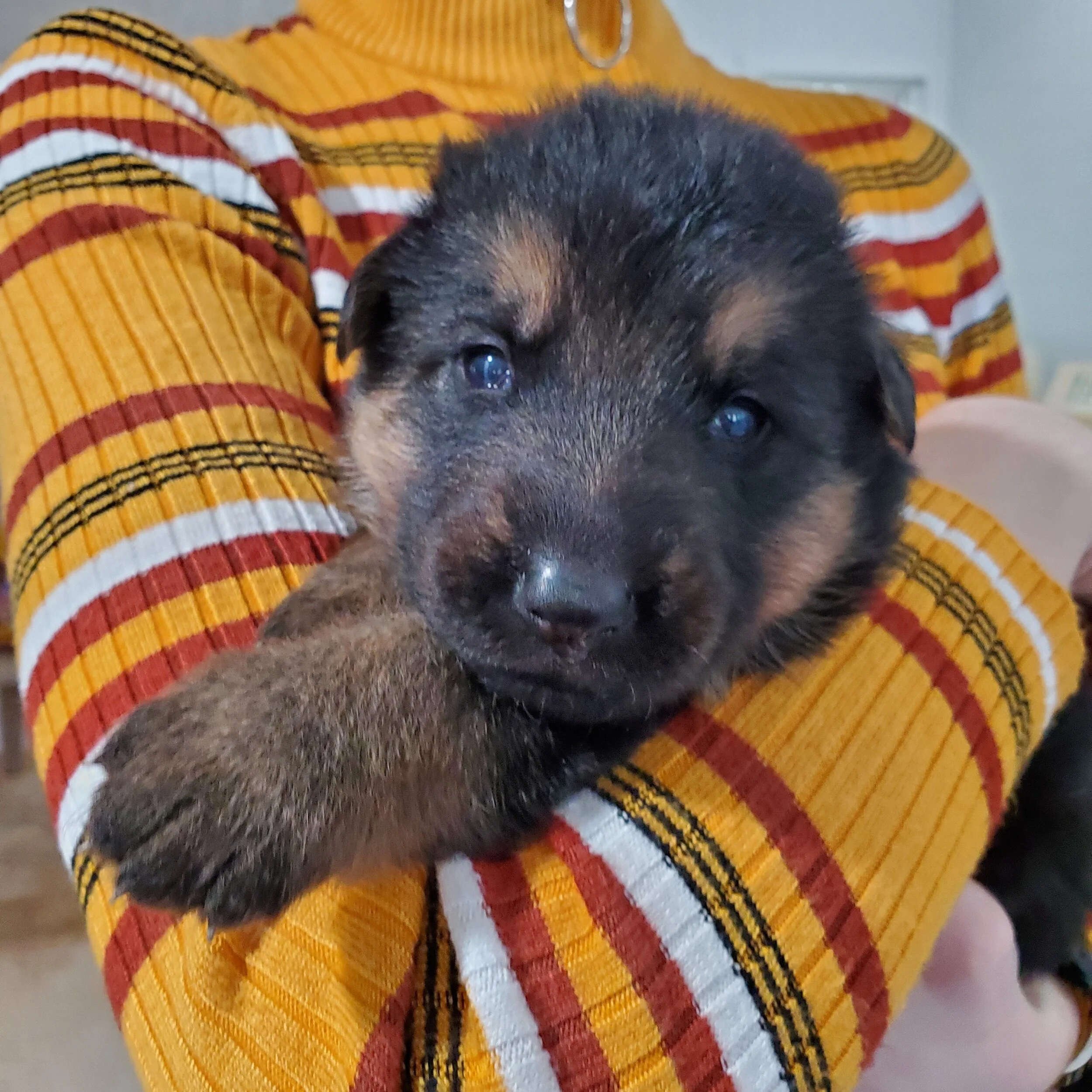 Cutie Pie!