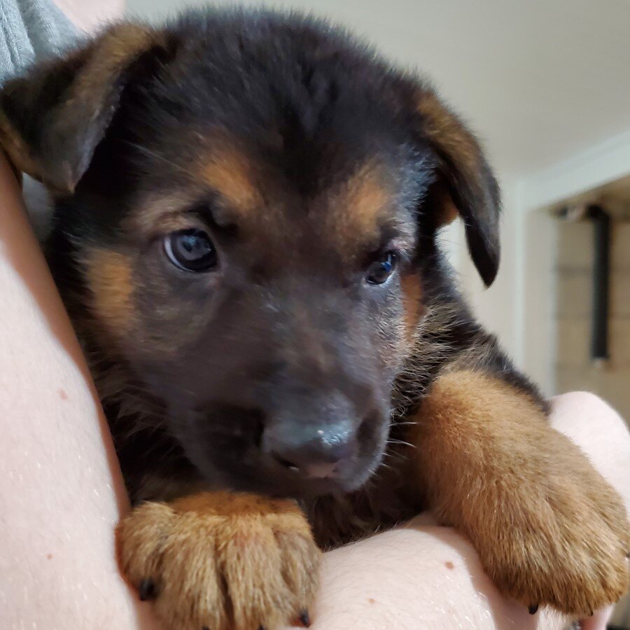 Oh so cuddly!