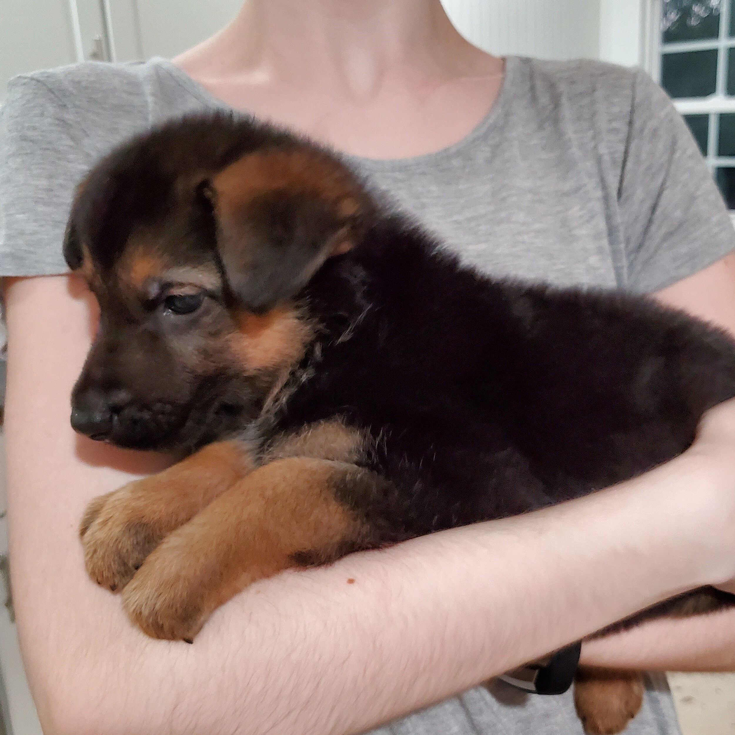 Growing Fast