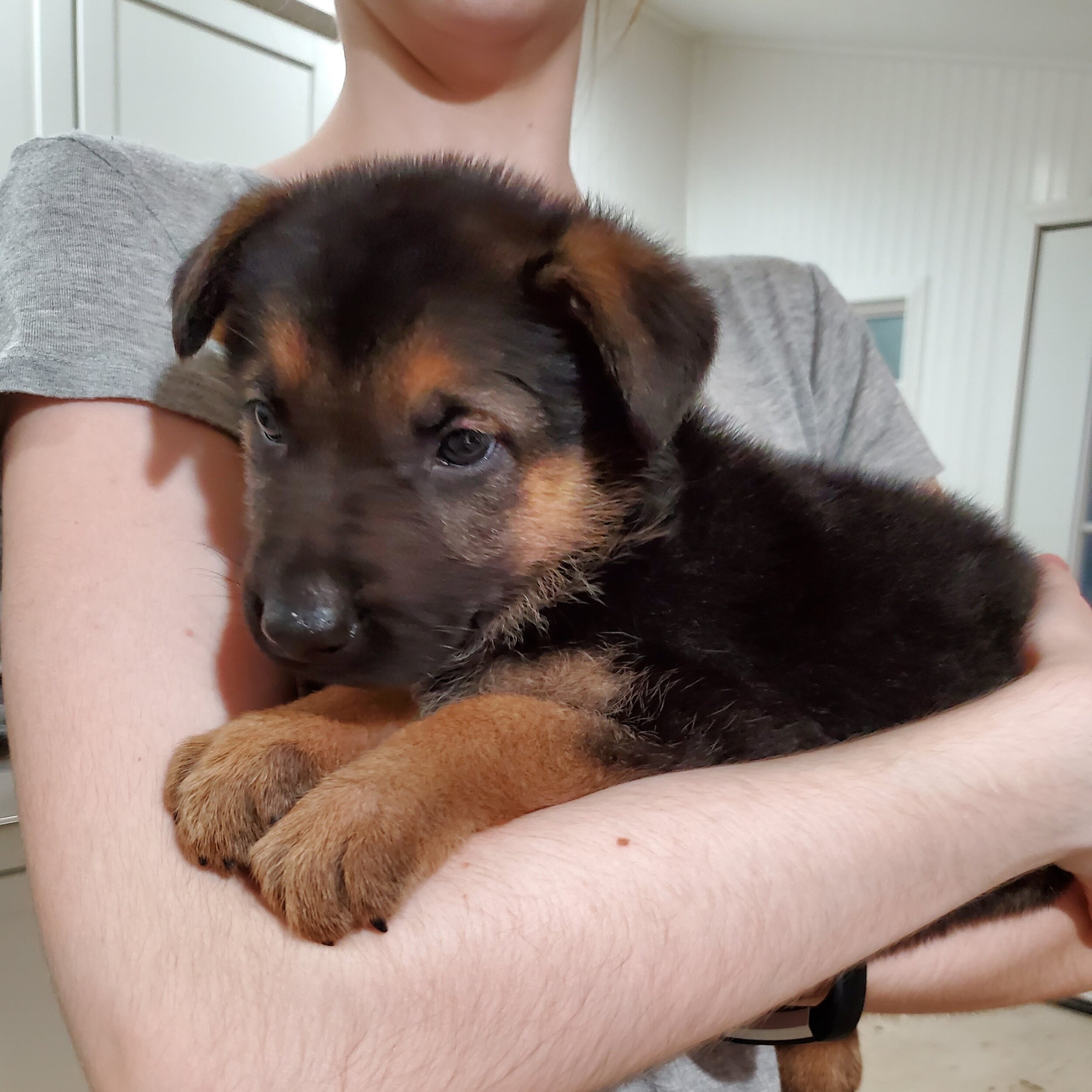 So Adorable!