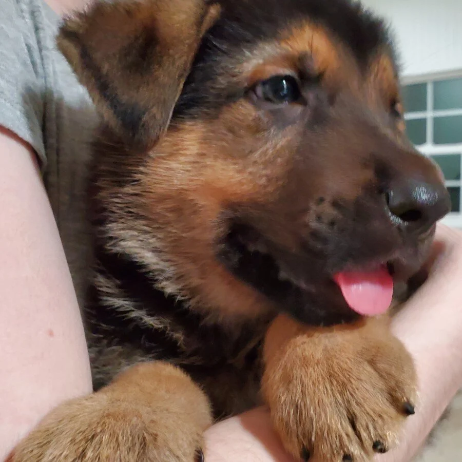 Ready to Play!