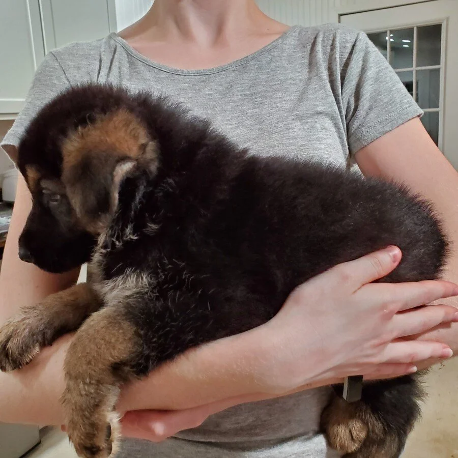 Getting Big