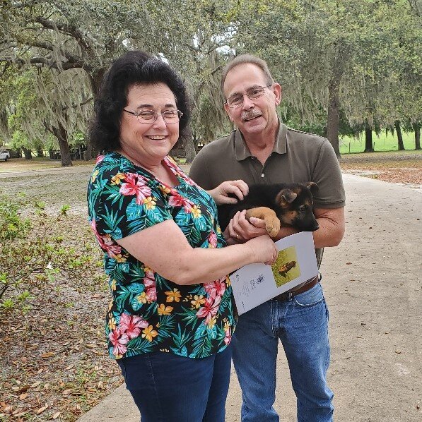 This is Faith, now called “Monroe,” an AKC German Shepherd puppy, at eight weeks old.